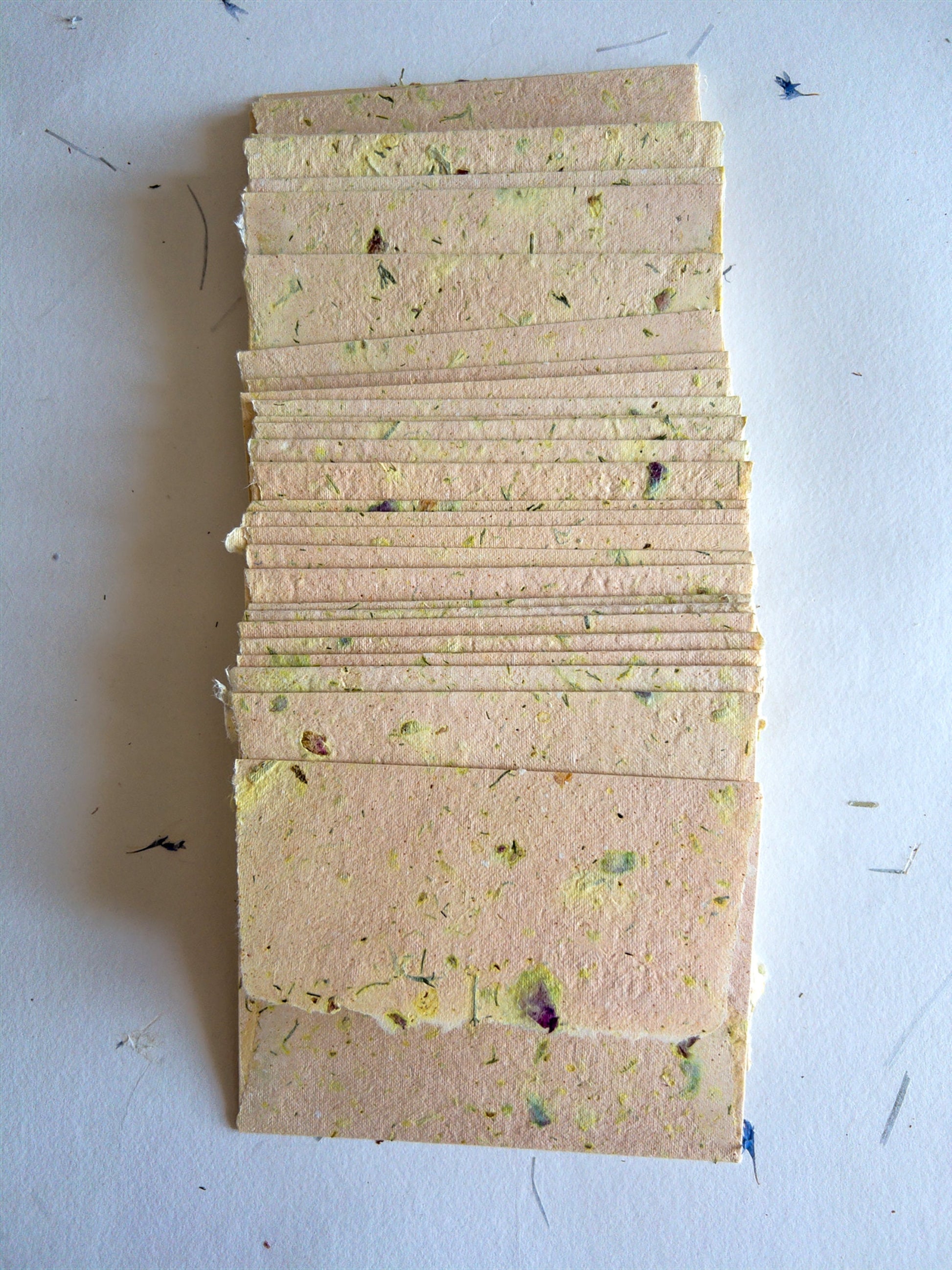 C6 Herb and Damask Rose Deckle Edge Envelope