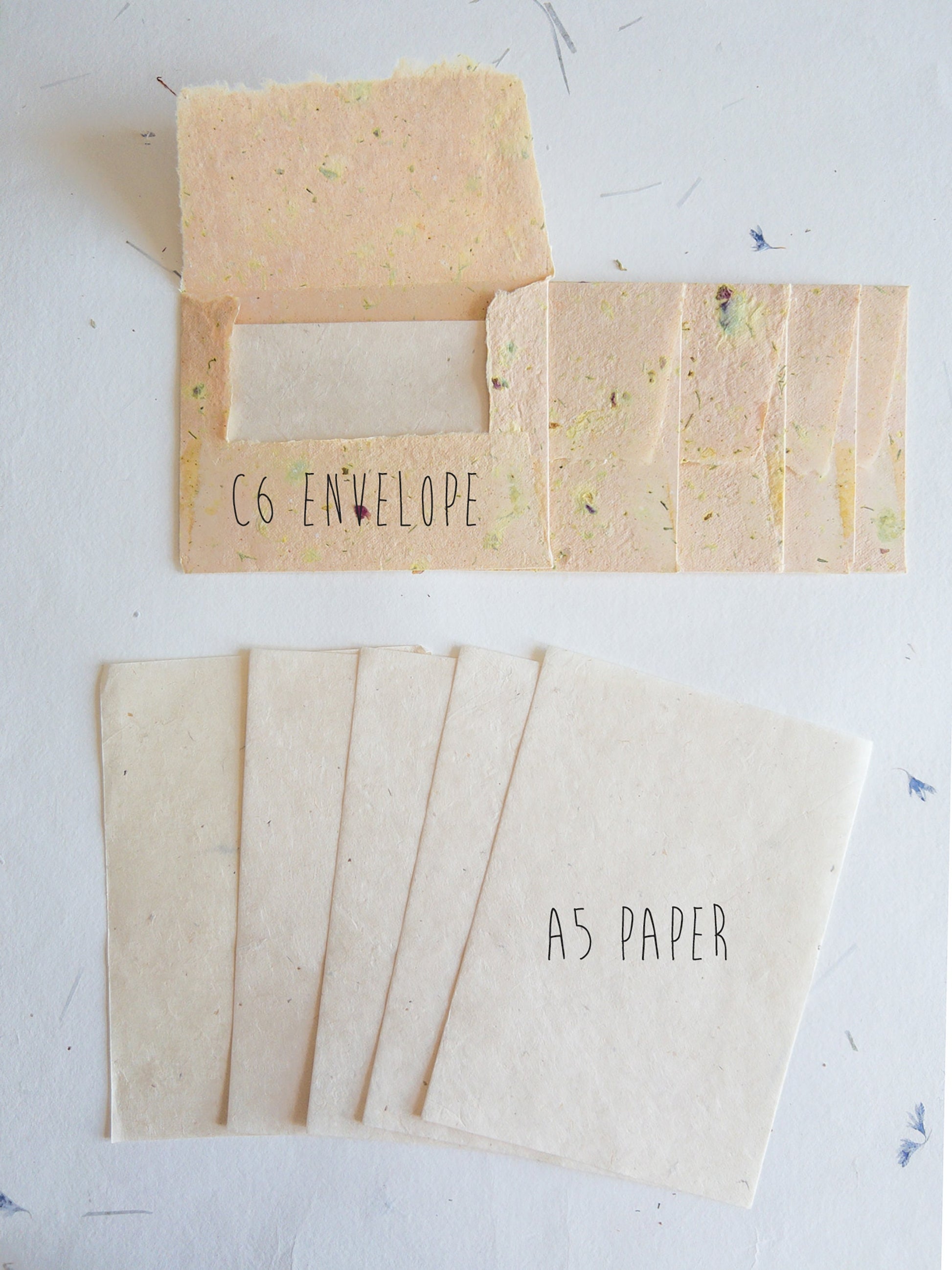 C6 Herb and Damask Rose Deckle Edge Envelope