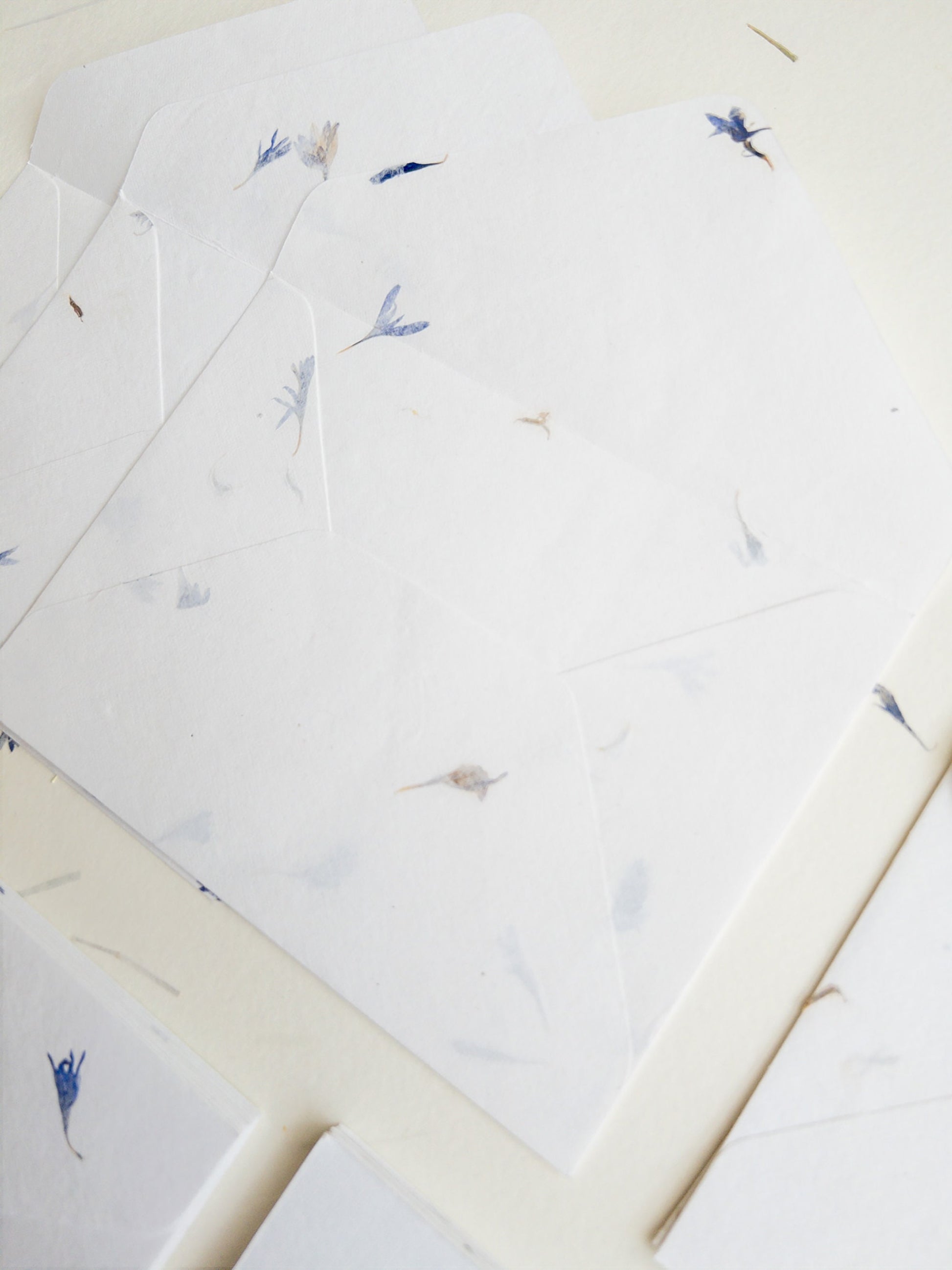 SET OF FIVE Handmade Paper with Envelop, Corn Flower, real pressed flower A5 & A6 paper, Papier le bleuet, inkjet paper, Papier Fait Main