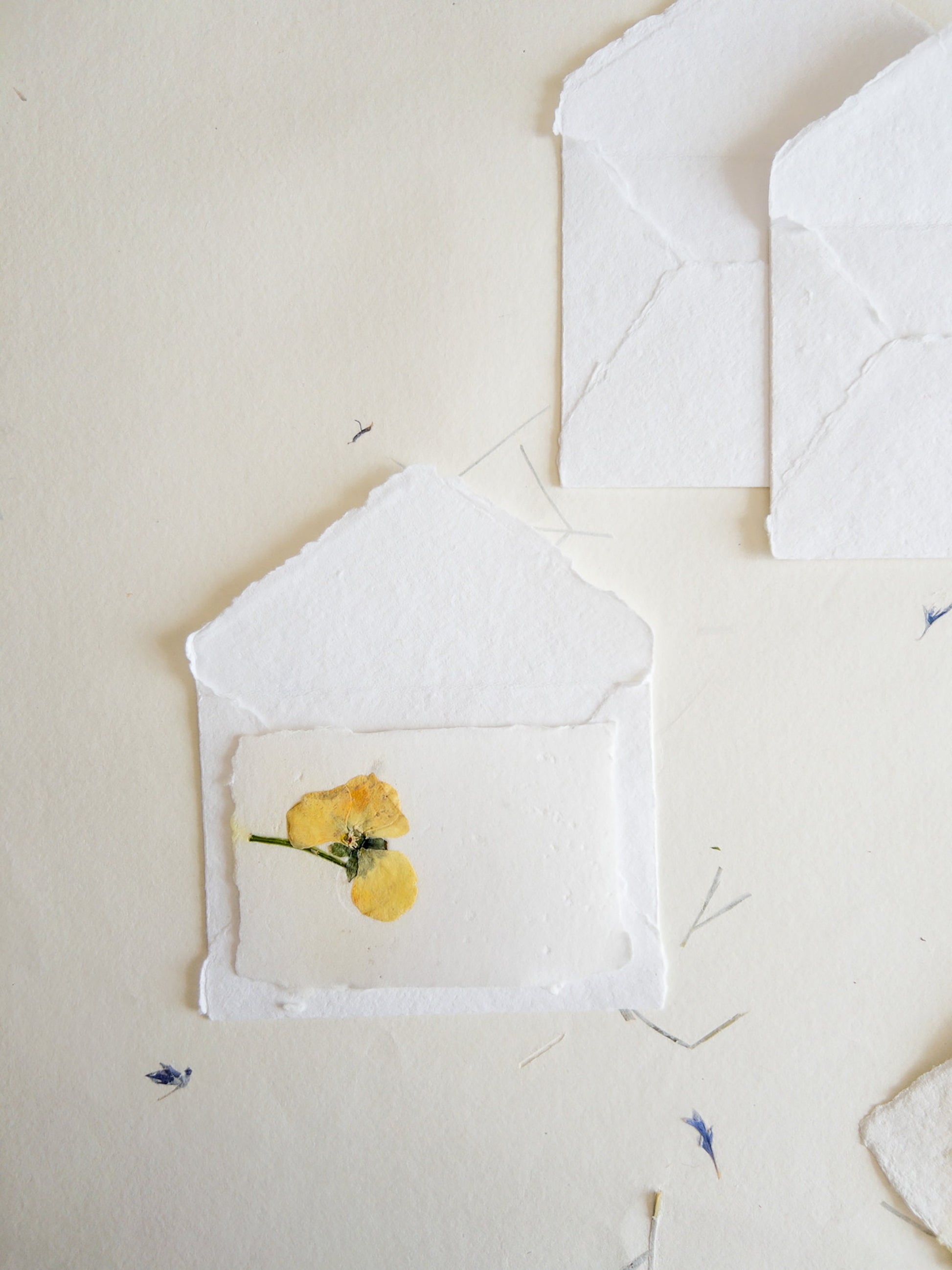 Pansy Pressed flower card, pressed flower stationary ,violet Invitation Paper, Calligraphy Paper, Papier Fait Main, handmade envelope