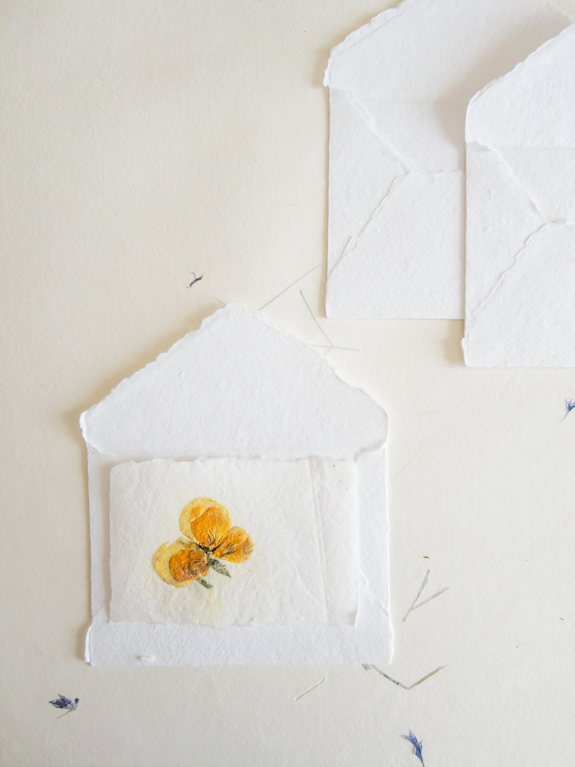 Pansy Pressed flower card, pressed flower stationary ,violet Invitation Paper, Calligraphy Paper, Papier Fait Main, handmade envelope