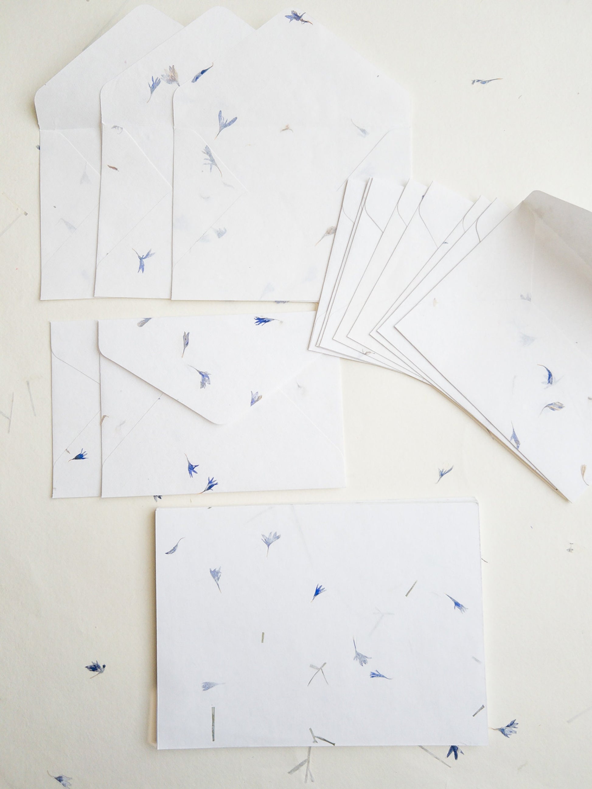 SET OF FIVE Handmade Paper with Envelop, Corn Flower, real pressed flower A5 & A6 paper, Papier le bleuet, inkjet paper, Papier Fait Main