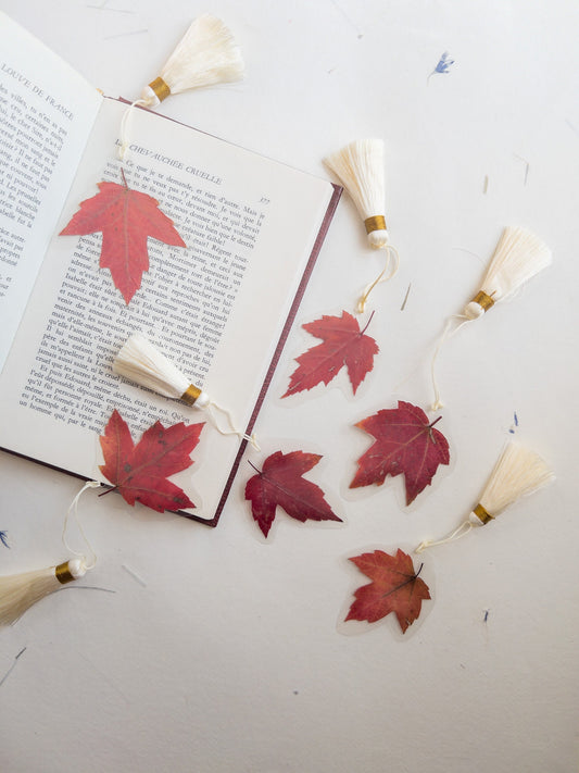 Pressed flower bookmark maple leaf with silk Tassel , transparent bookmark, handmade bookmark, dried flower, fleur séchée , marque page
