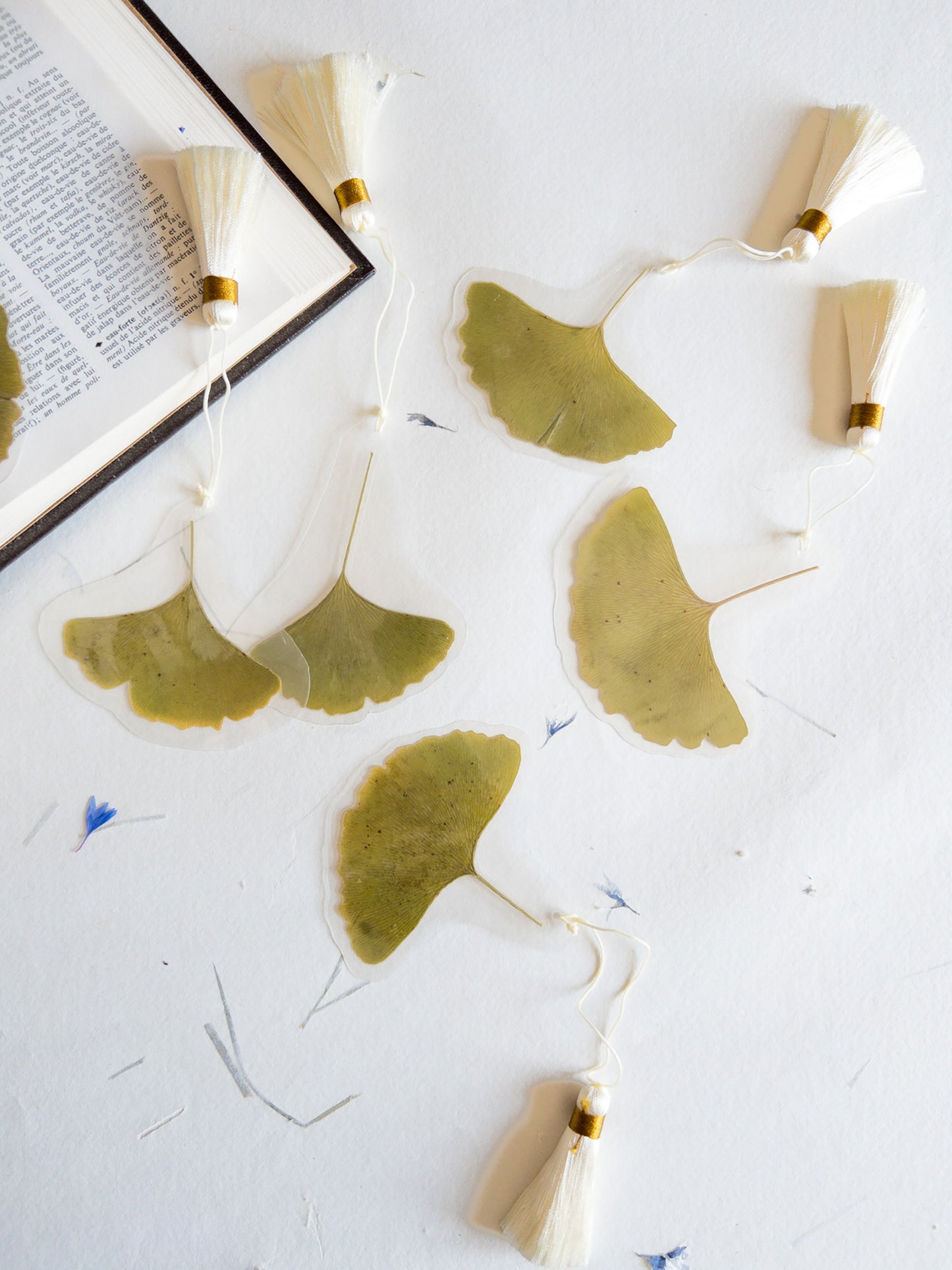 Pressed flower bookmark Ginkgo leaves with silk Tassel , transparent bookmark, handmade bookmark, dried flower, feuille Ginkgo, marque page