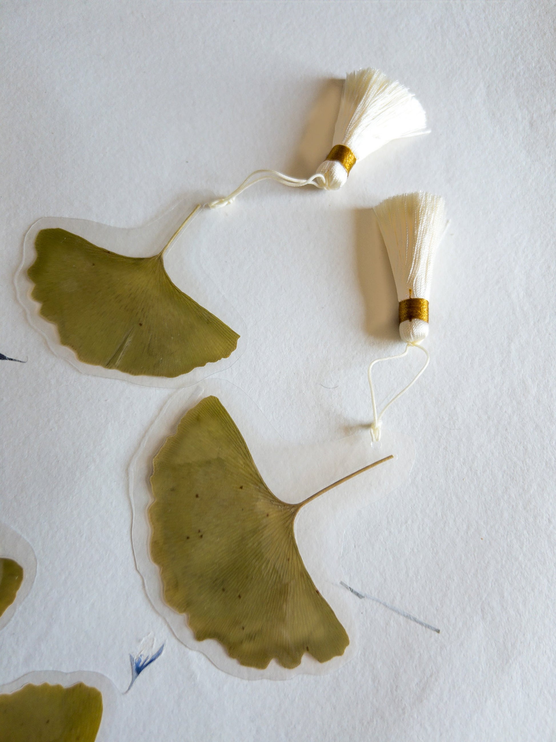 Pressed flower bookmark Ginkgo leaves with silk Tassel , transparent bookmark, handmade bookmark, dried flower, feuille Ginkgo, marque page