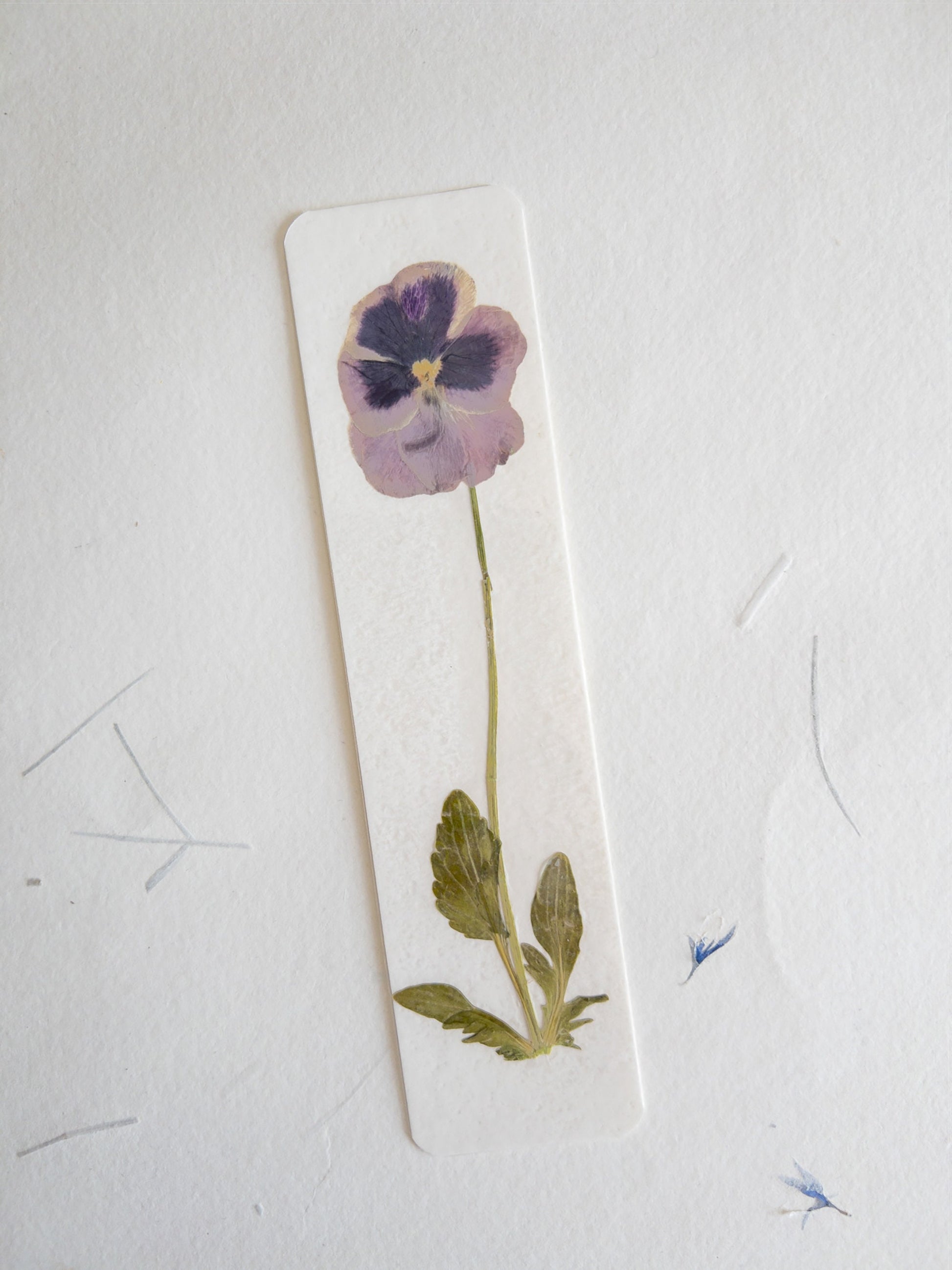 Pansy flower bookmark , pressed flower bookmark on handmade cotton paper , handmade bookmark, gift, dried flower, fleur séchée , marque page