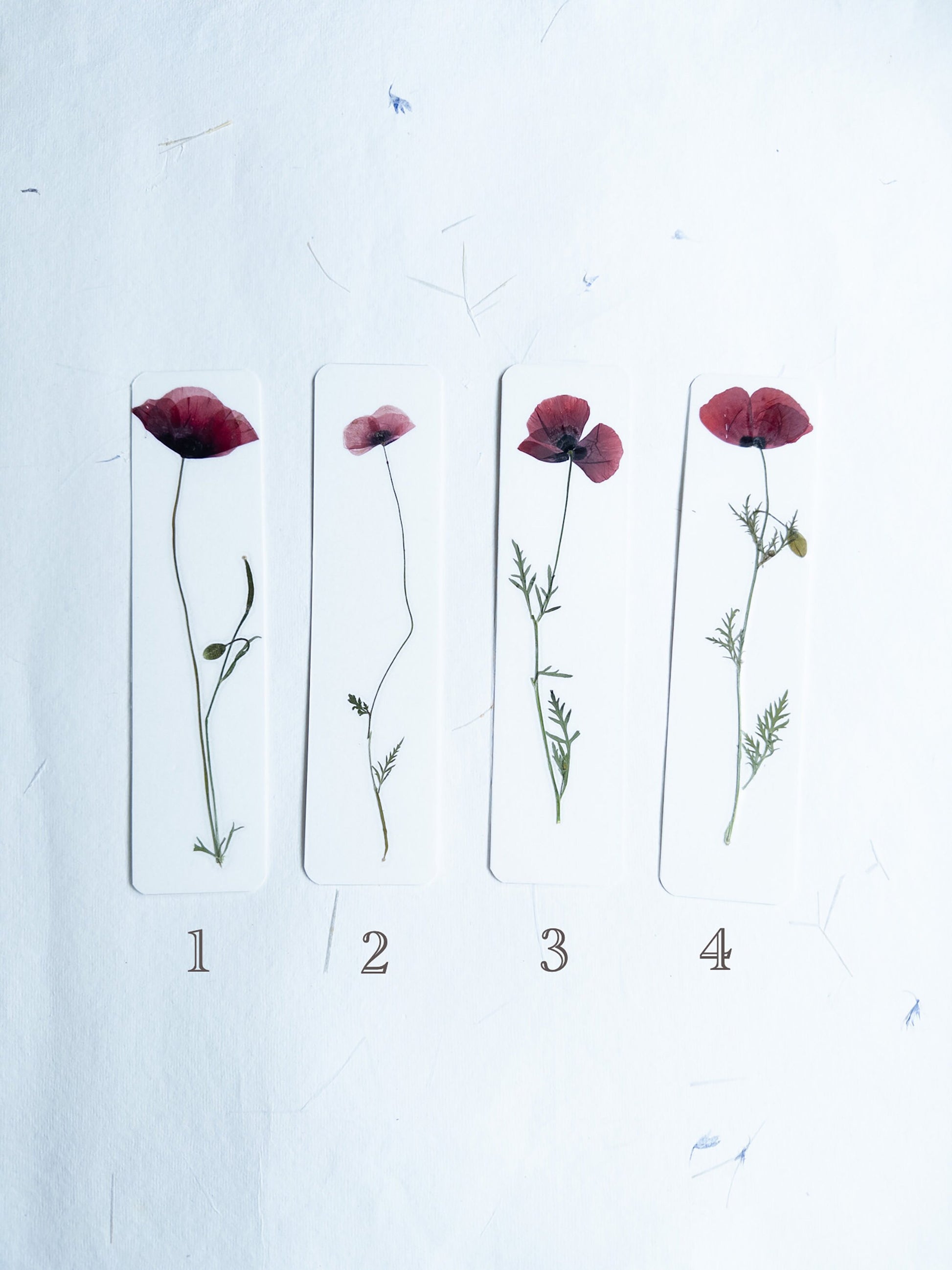 Pressed Flower bookmark corn poppy , dried flower , gift, fleur, fleur séchée, marque page coquelicots