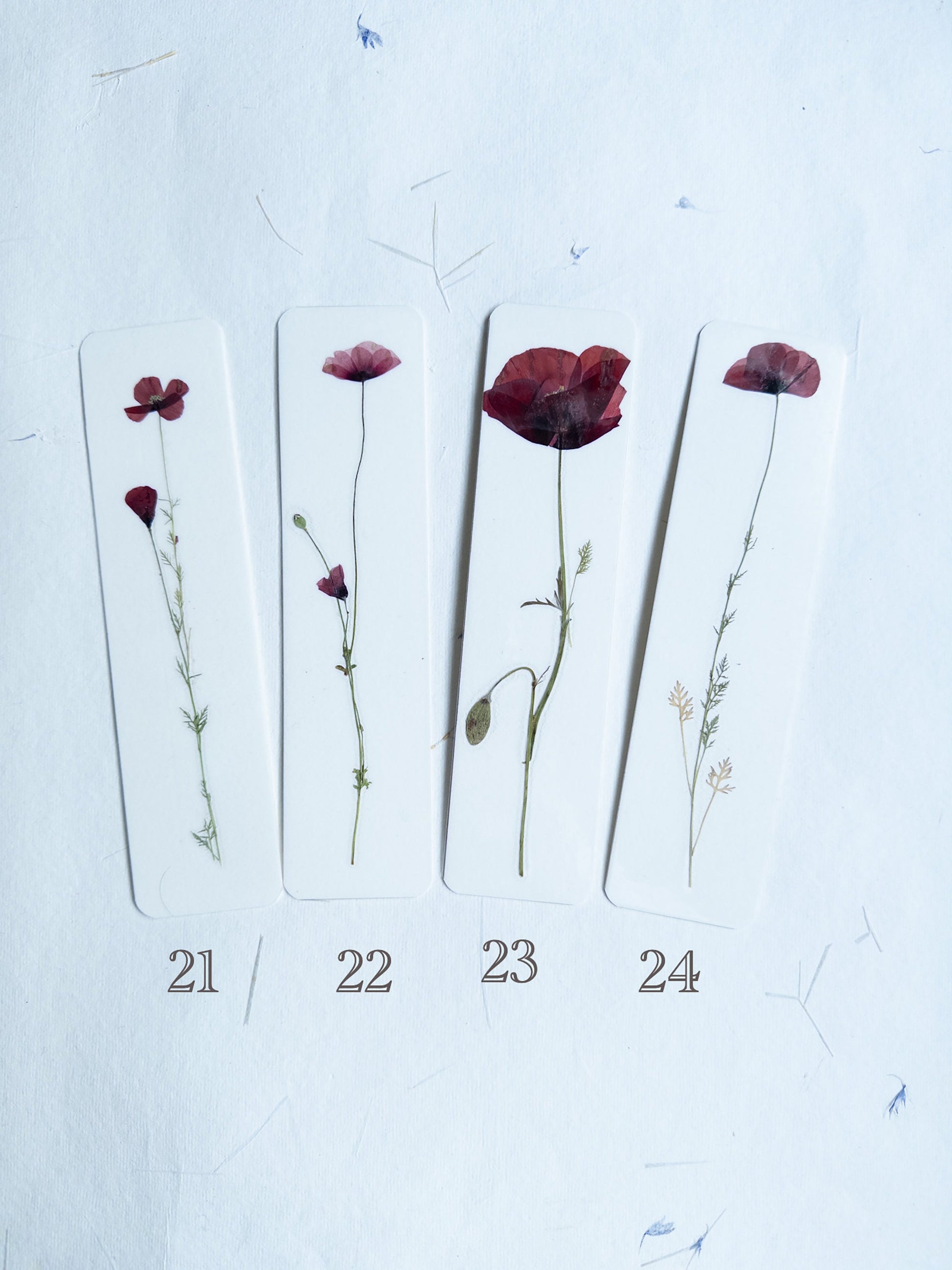 Pressed Flower bookmark corn poppy , dried flower , gift, fleur, fleur séchée, marque page coquelicots