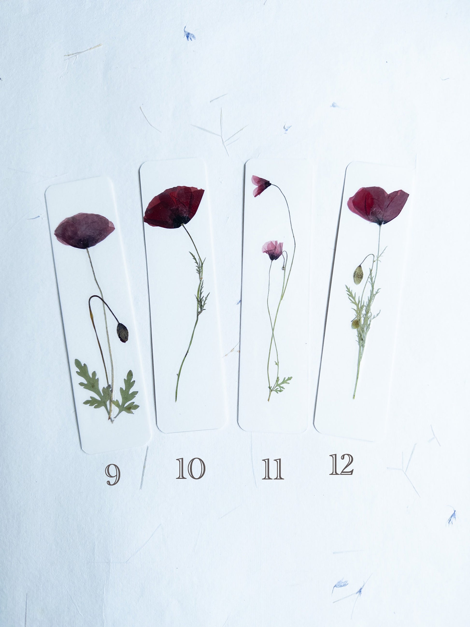 Pressed Flower bookmark corn poppy , dried flower , gift, fleur, fleur séchée, marque page coquelicots