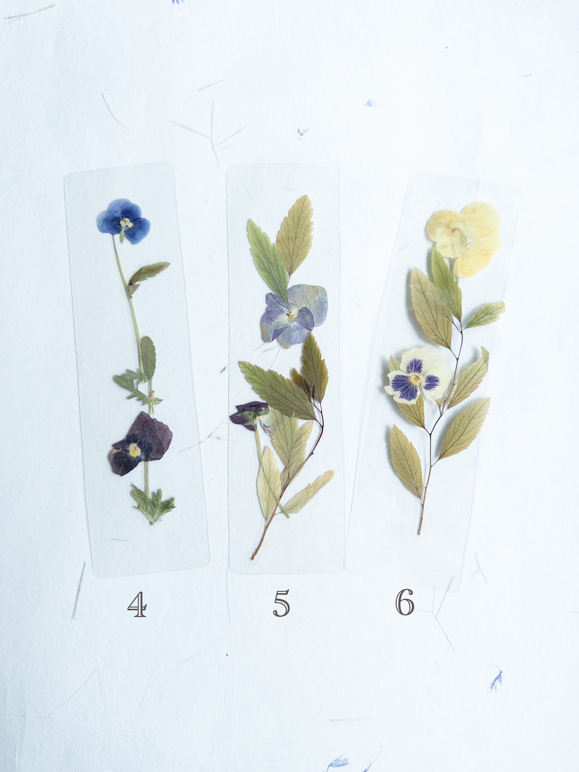 Pansy flower bookmark Pressed flower bookmark Transparent, violet bookmark handmade bookmark, gift, dried flower, fleur séchée , marque page