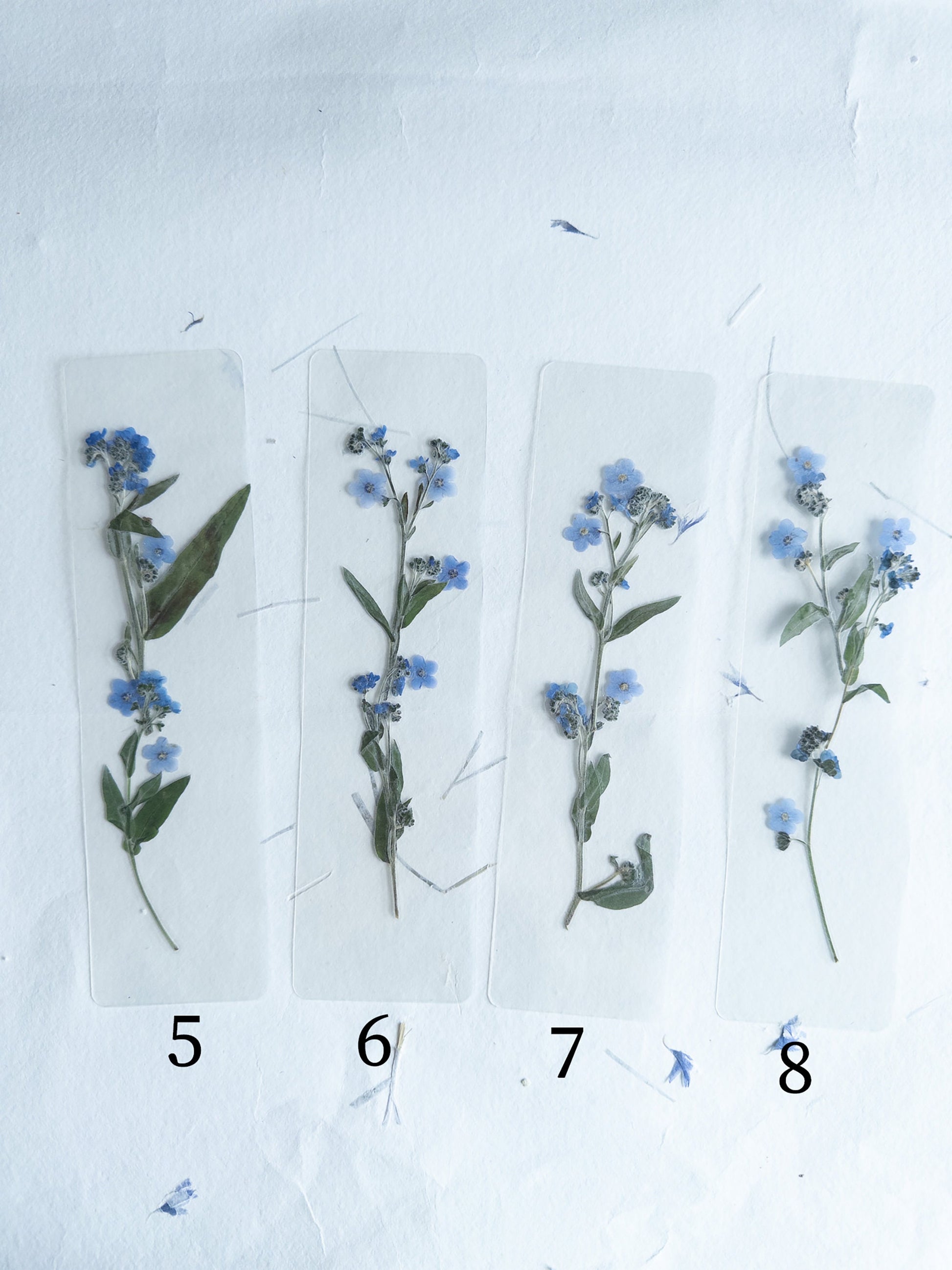 Transparent Pressed flower bookmark on cotton paper,Myosotis, forget-me not, mixed flowers, flower, fleur séchée , marque page,
