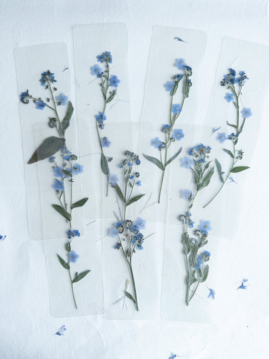 Transparent Pressed flower bookmark on cotton paper,Myosotis, forget-me not, mixed flowers, flower, fleur séchée , marque page,