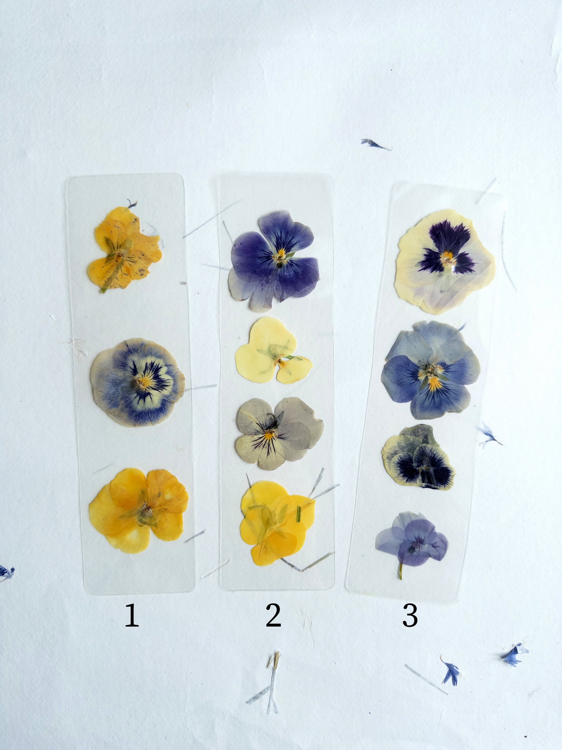 Pansy flower pressed flower bookmark, violet flowers, handmade bookmark, fleur séchée ,marque page laminated bookmark gift for her