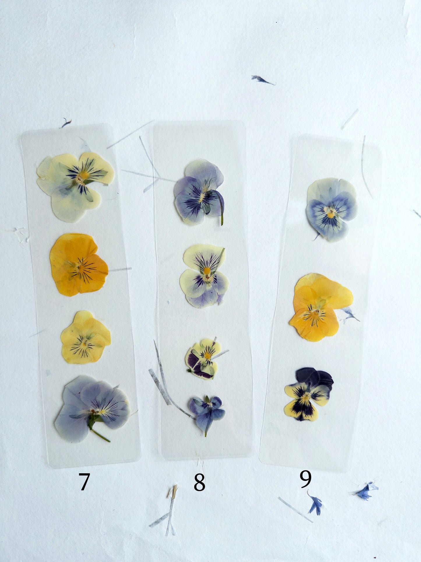 Pansy flower pressed flower bookmark, violet flowers, handmade bookmark, fleur séchée ,marque page laminated bookmark gift for her