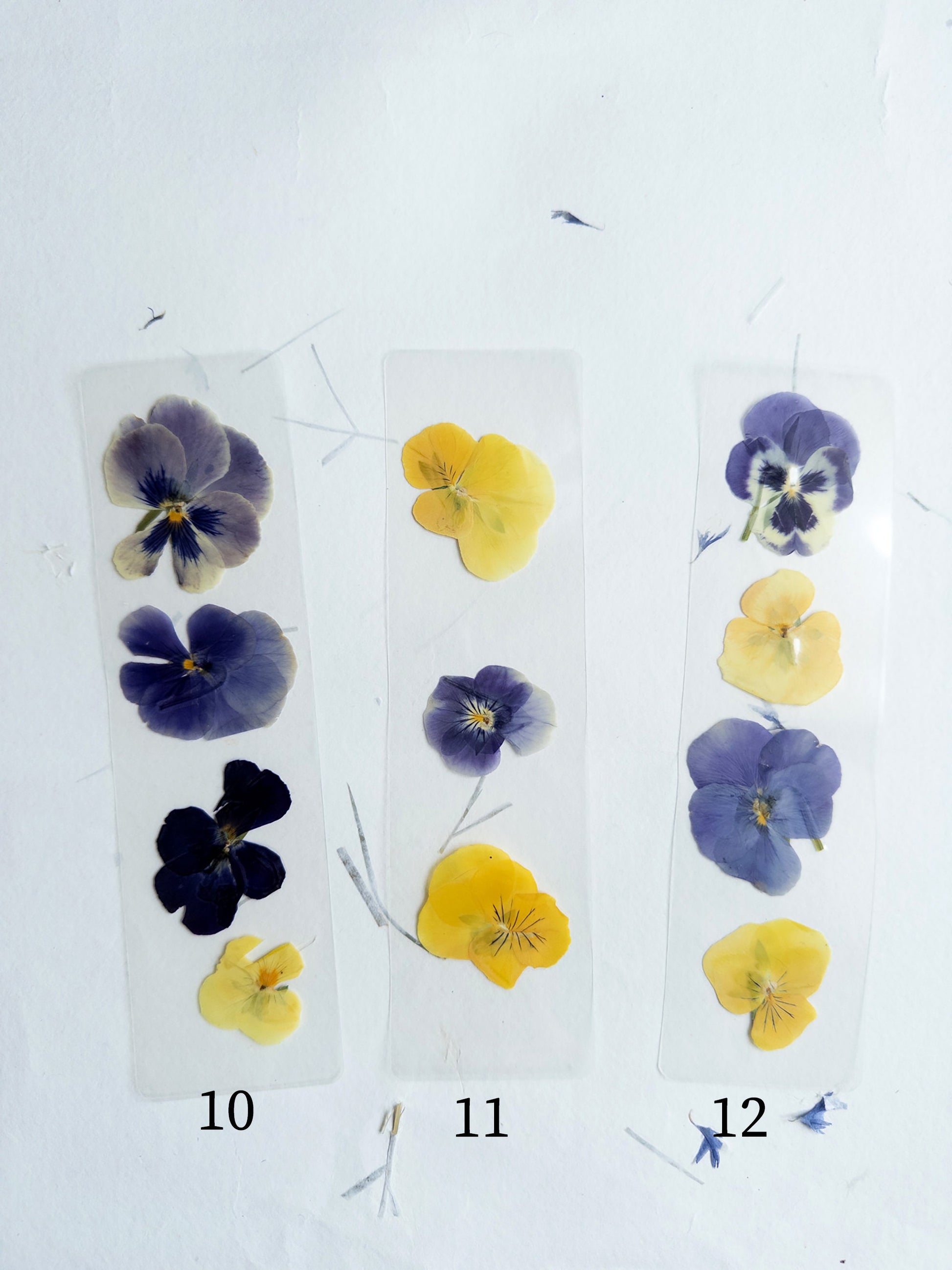 Pansy flower pressed flower bookmark, violet flowers, handmade bookmark, fleur séchée ,marque page laminated bookmark gift for her