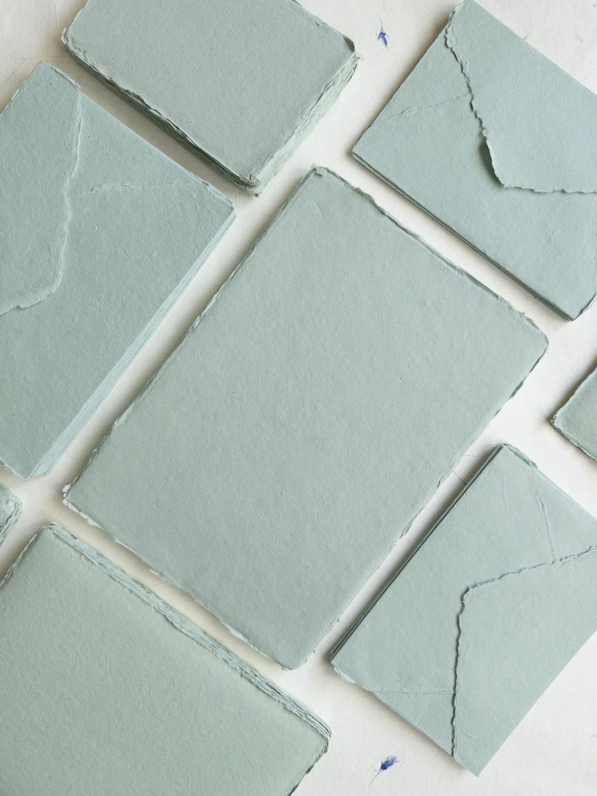 Succulent deckle edge paper