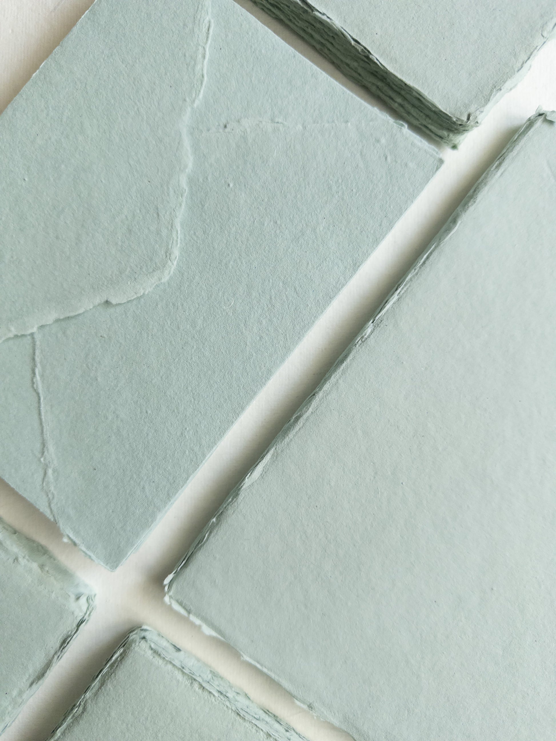 Succulent deckle edge paper