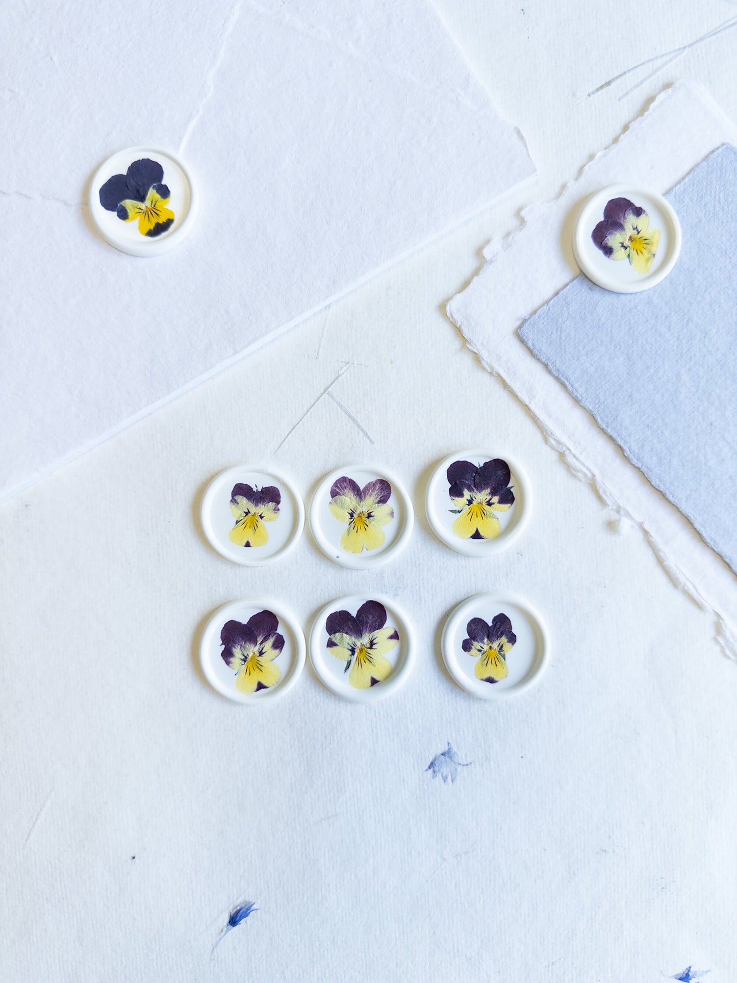 Pansy Pressed flower Seals, Self Adhesive Wax Seals, wedding DIY, flower Wax Seals, pensée fleur Wax Seals, Wedding Wax Seal Stickers