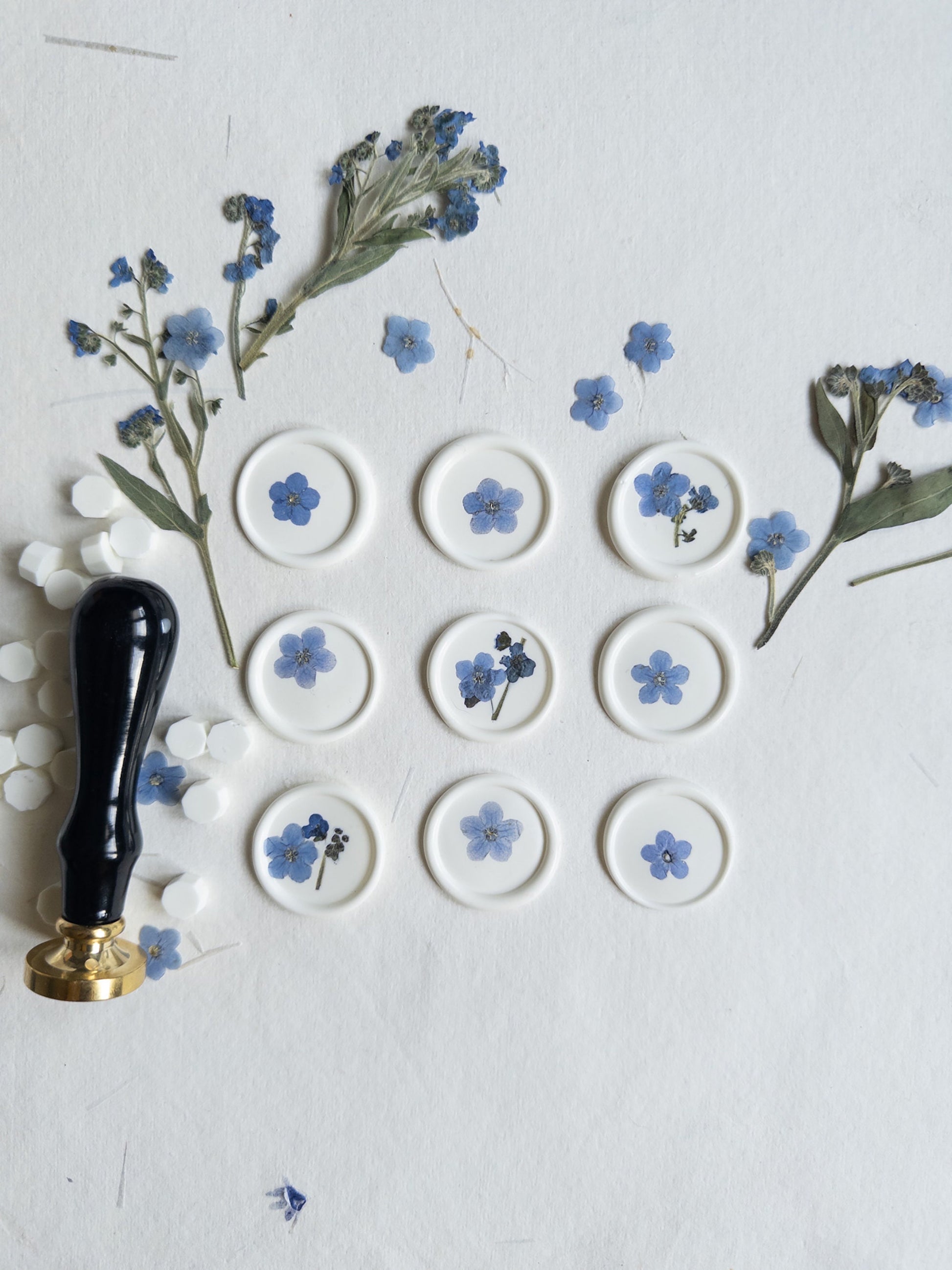 Forget-me-not wax seals