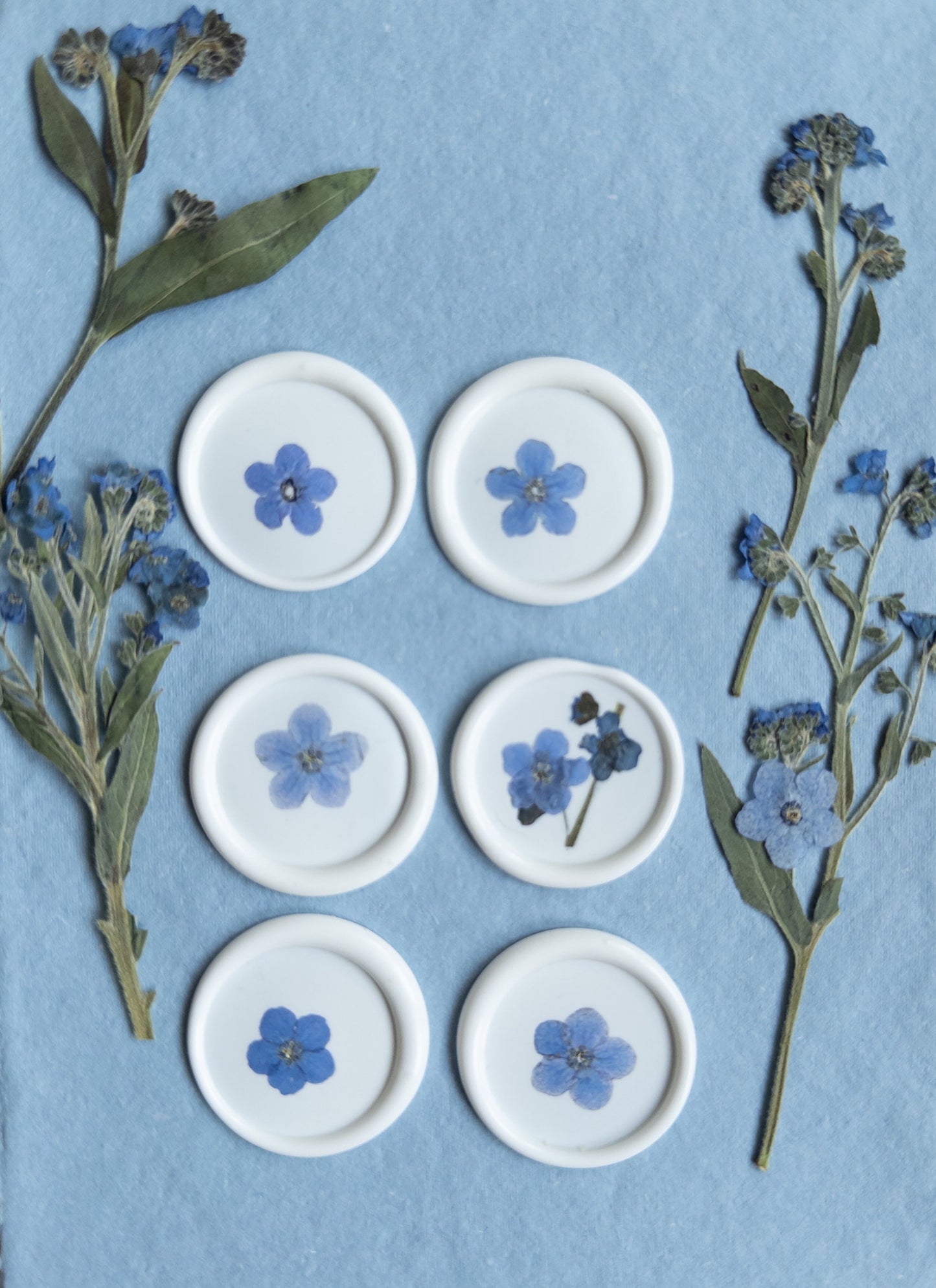 Forget Me Not "" Pressed flower Seals, Self Adhesive Wax Seals, wedding DIY, flower Wax Seals, Wax Seals, Wedding Wax Seal Stickers