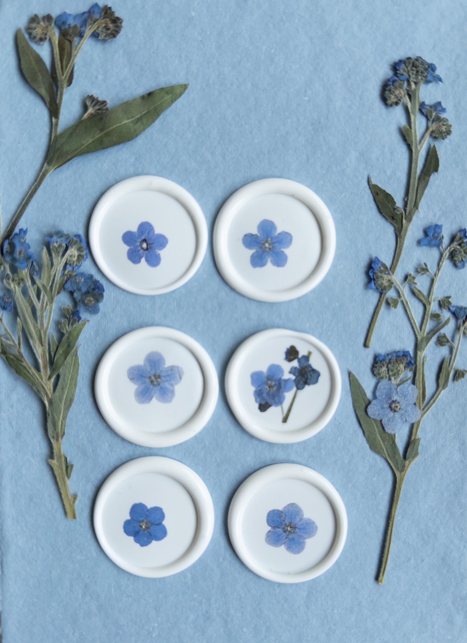 Forget Me Not "" Pressed flower Seals, Self Adhesive Wax Seals, wedding DIY, flower Wax Seals, Wax Seals, Wedding Wax Seal Stickers