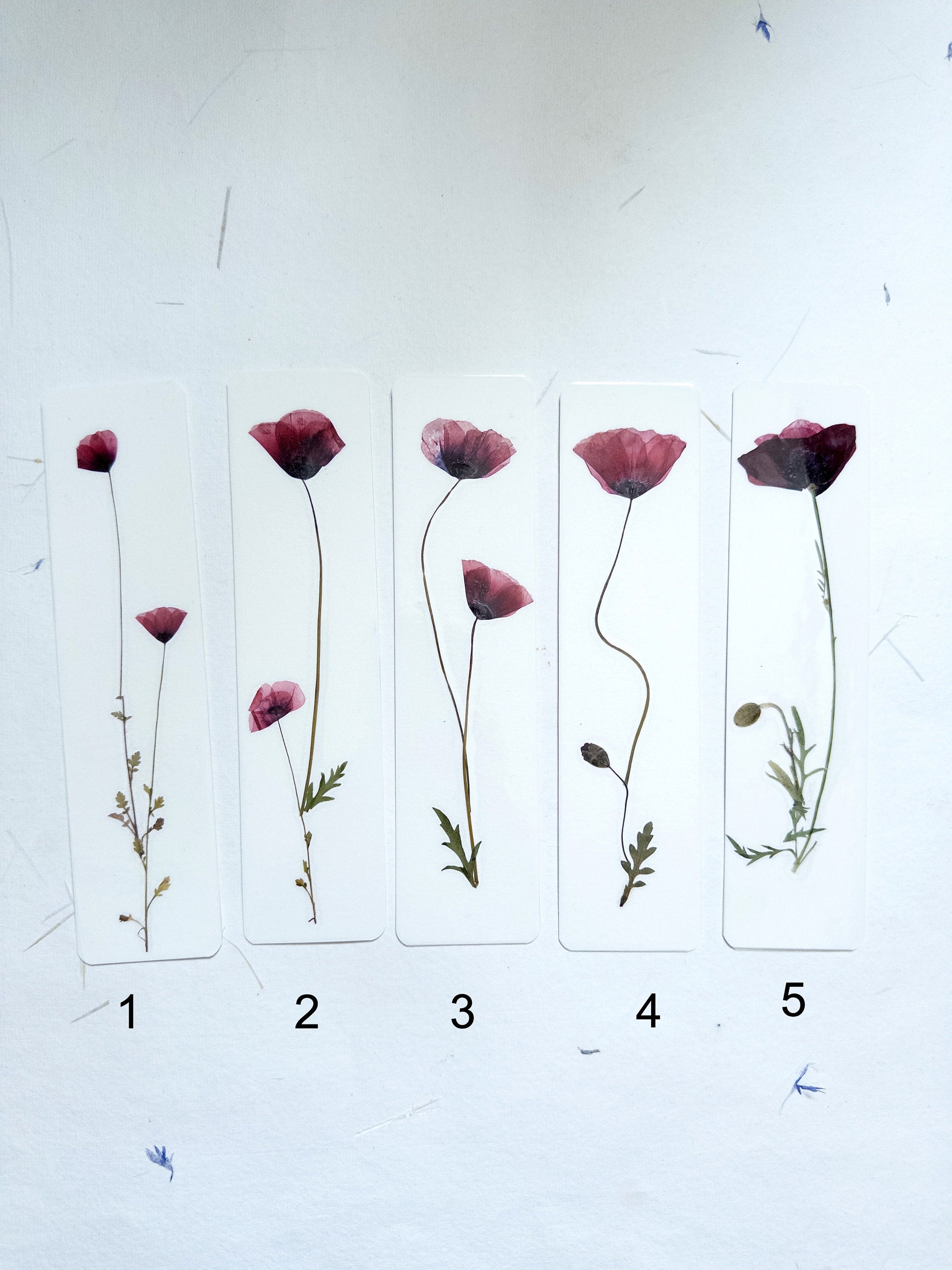 Common poppy bookmark