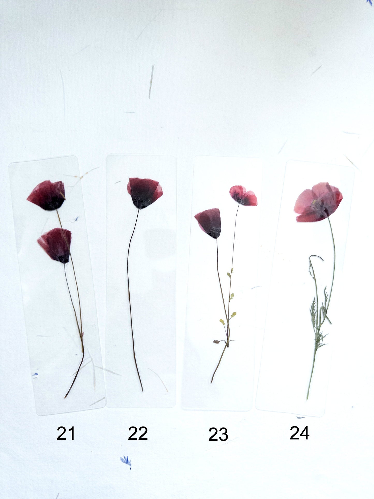 Poppy Pressed Flower bookmark TRANSPARENT , dried flower , gift, fleur, fleur séchée, marque page