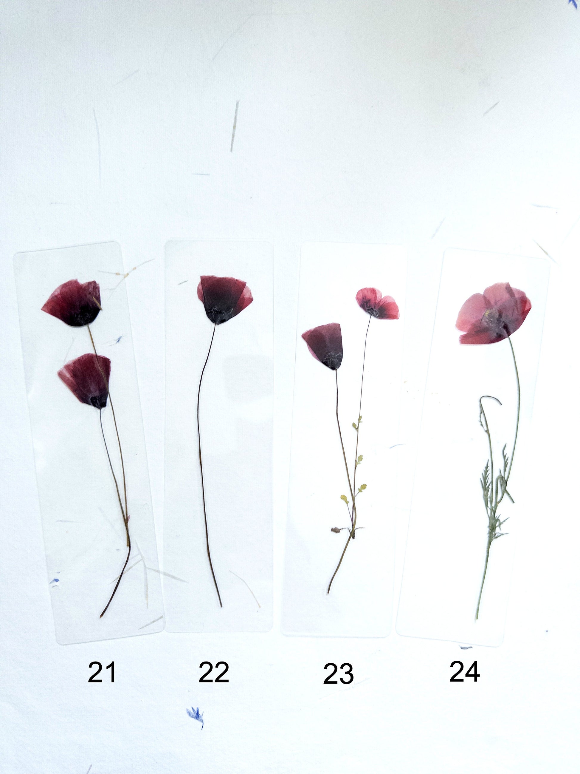 Poppy Pressed Flower bookmark TRANSPARENT , dried flower , gift, fleur, fleur séchée, marque page