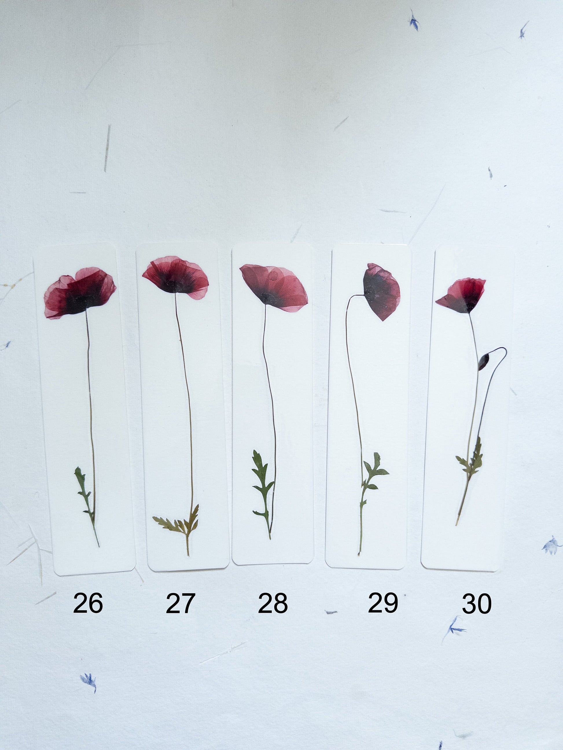 Common poppy bookmark
