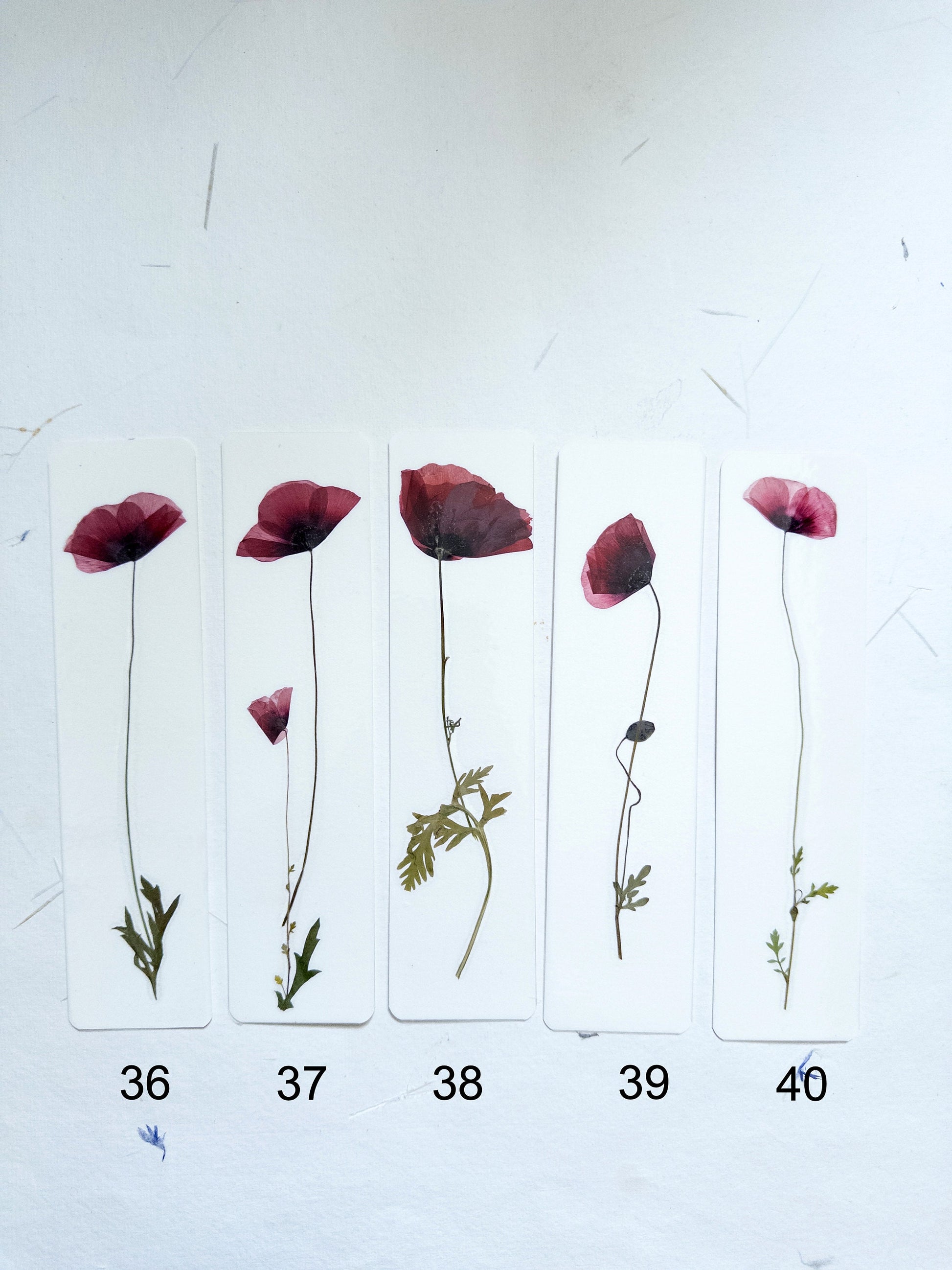 Common poppy bookmark