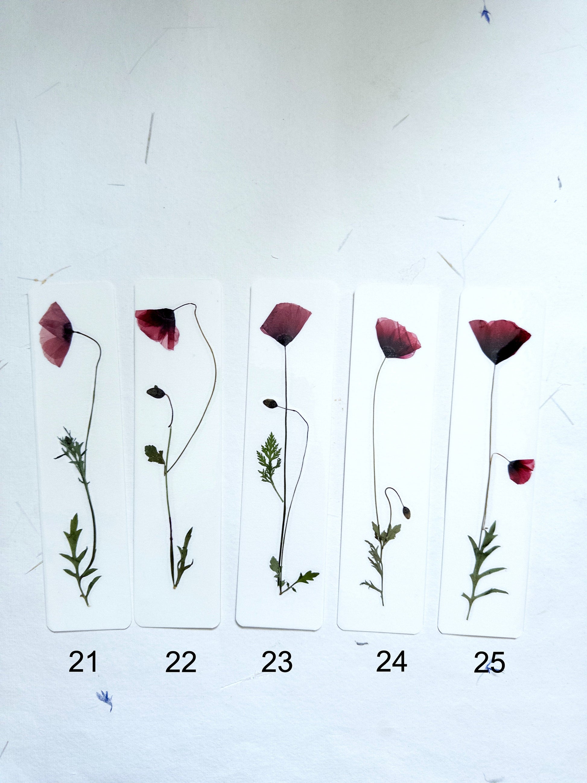 Common poppy bookmark