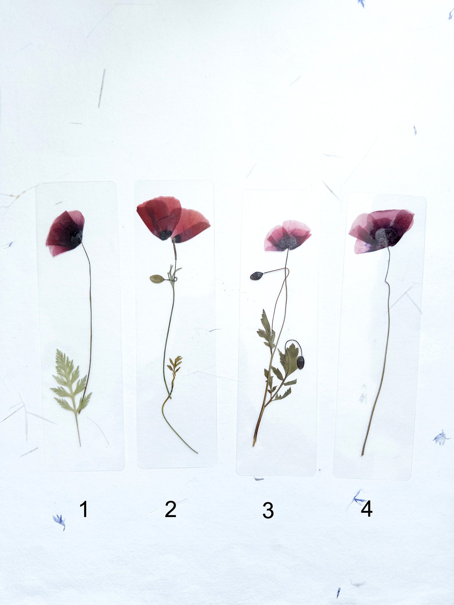 Poppy Pressed Flower bookmark TRANSPARENT , dried flower , gift, fleur, fleur séchée, marque page