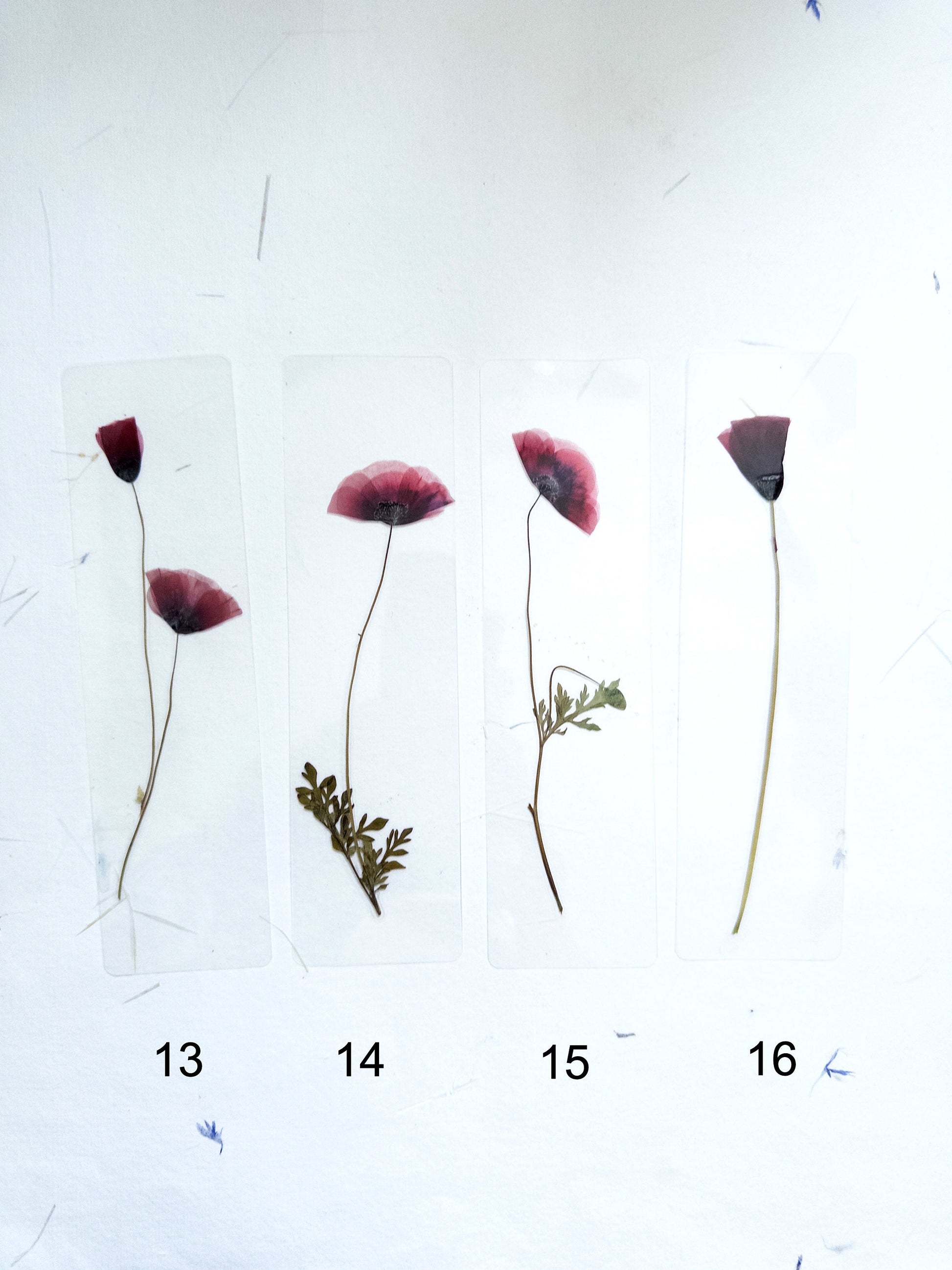 Poppy Pressed Flower bookmark TRANSPARENT , dried flower , gift, fleur, fleur séchée, marque page