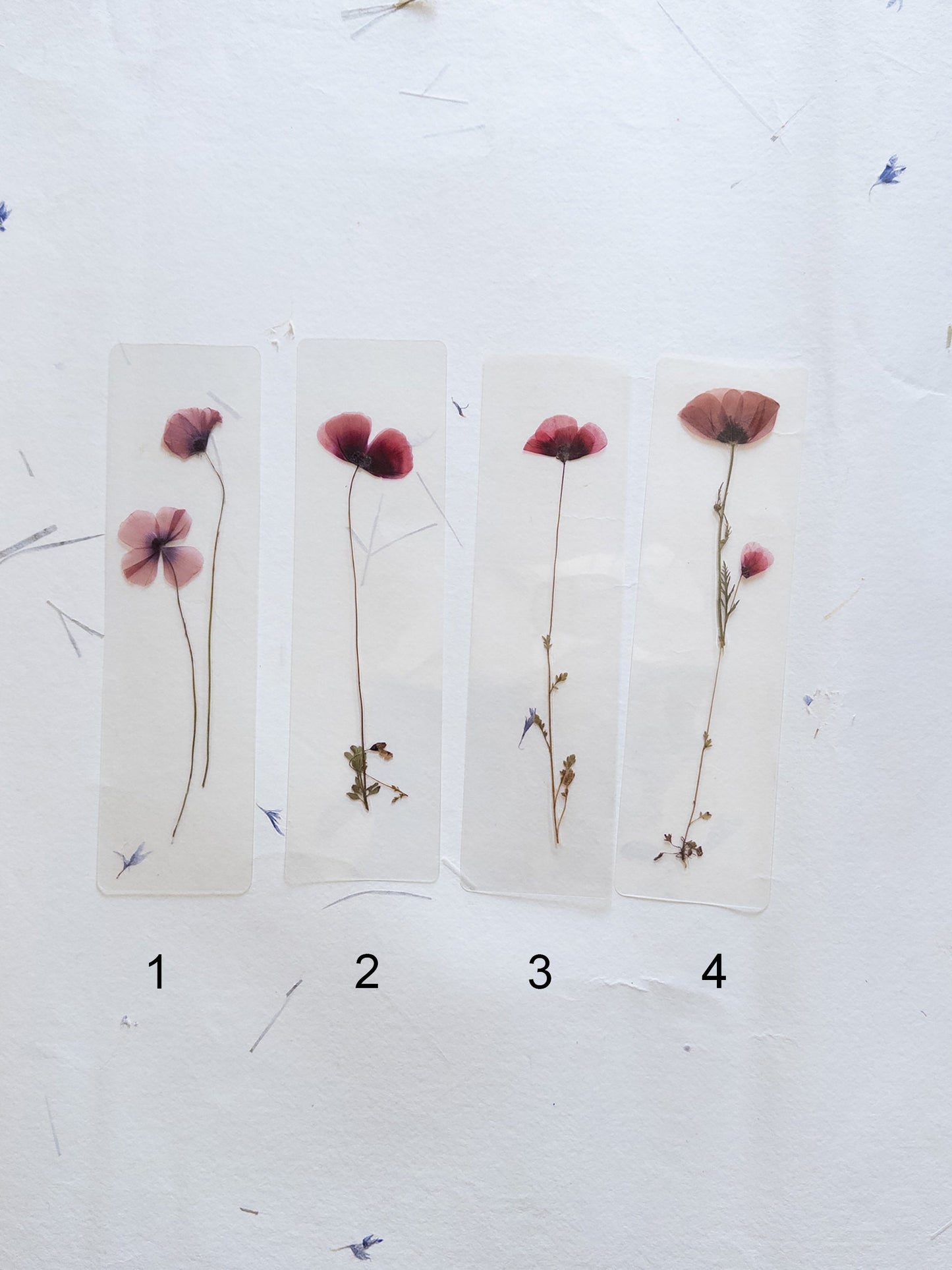 Poppy flower bookmark Pressed Flower bookmark TRANSPARENT , dried flower , gift, , fleur séchée, marque page poppy , marquepage coquelicot