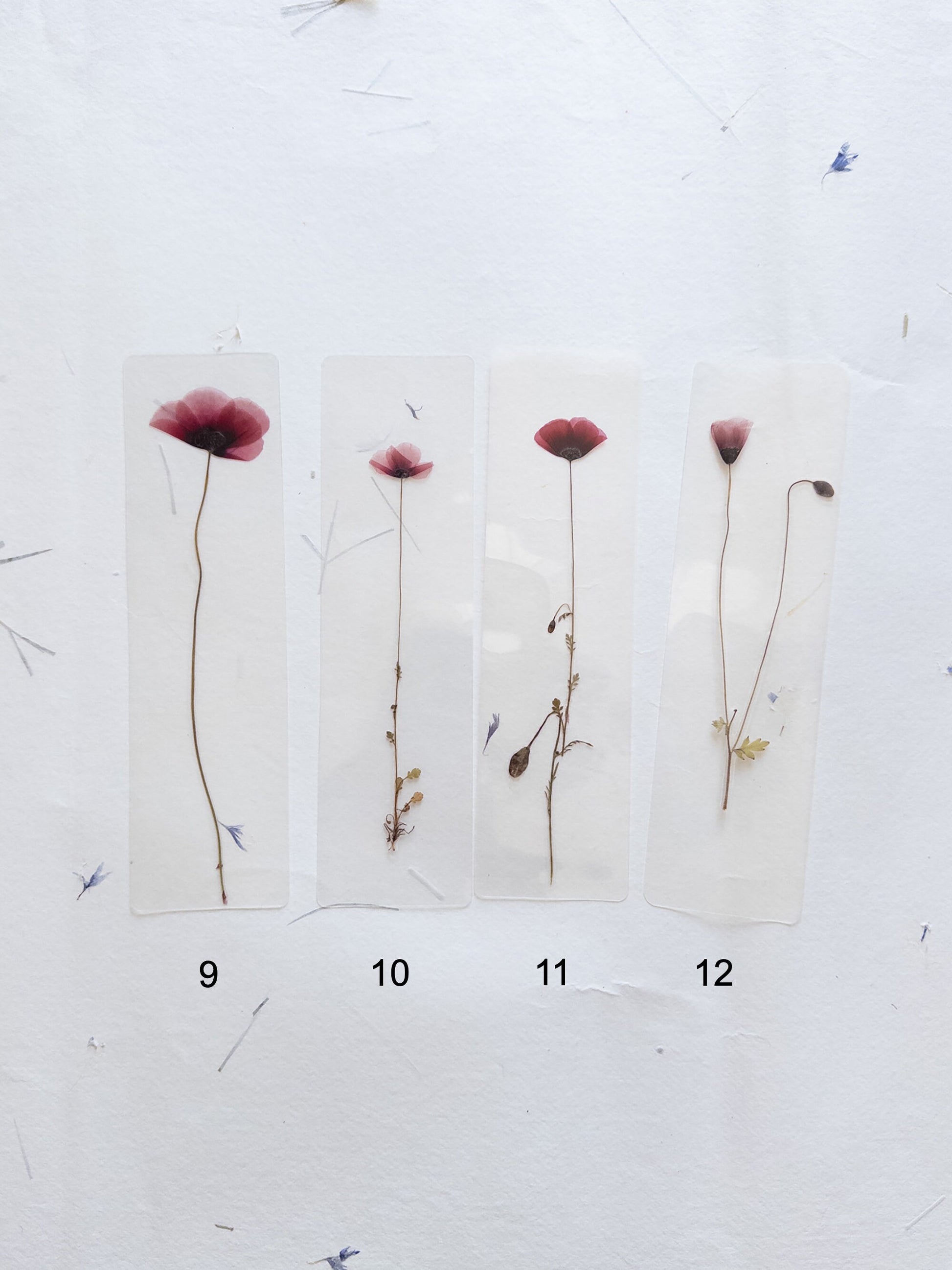 Poppy flower bookmark Pressed Flower bookmark TRANSPARENT , dried flower , gift, , fleur séchée, marque page poppy , marquepage coquelicot
