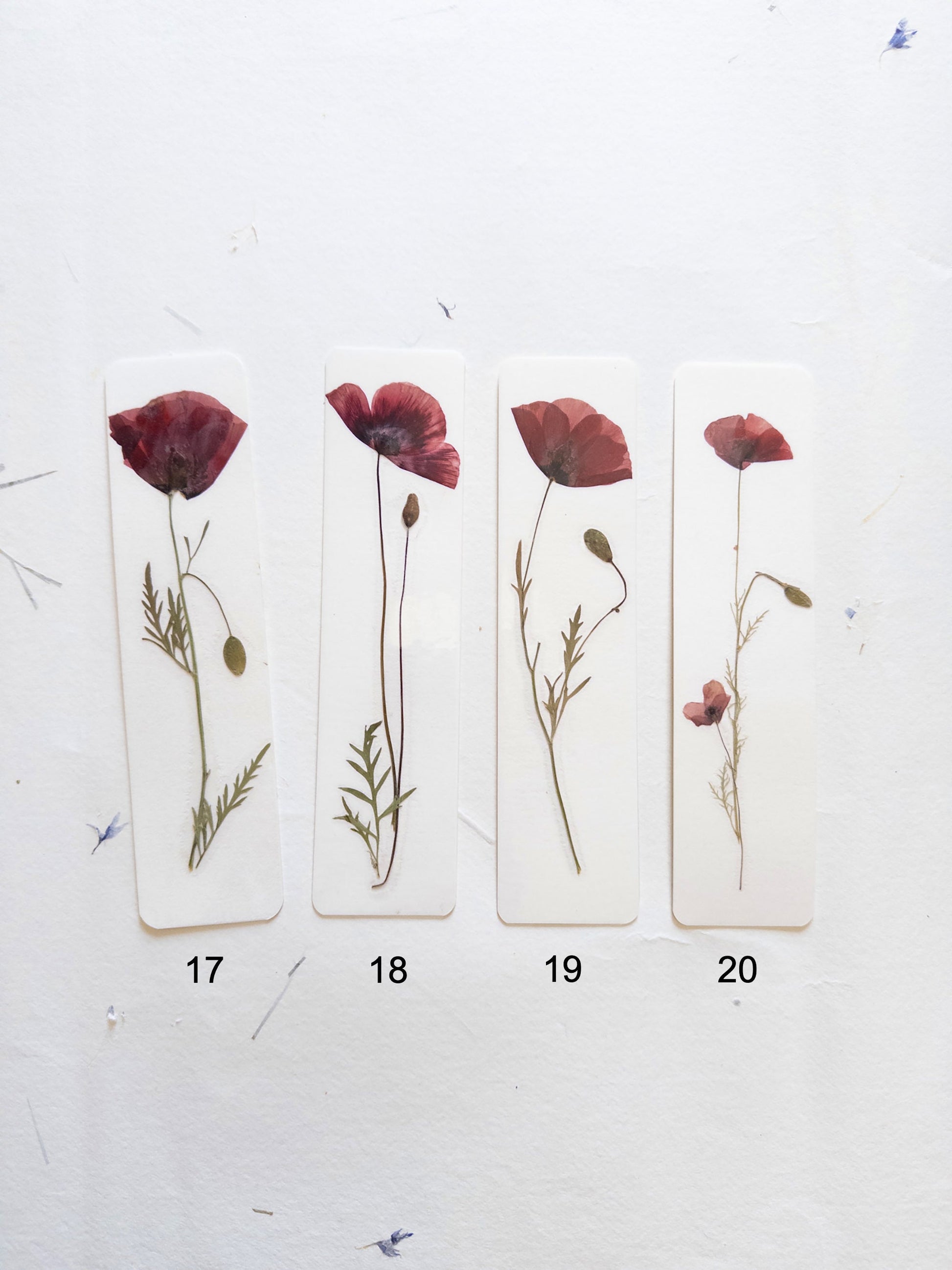 Common poppy bookmark Pressed Flower bookmark corn poppy , dried flower , gift, fleur, fleur séchée, marque page coquelicots