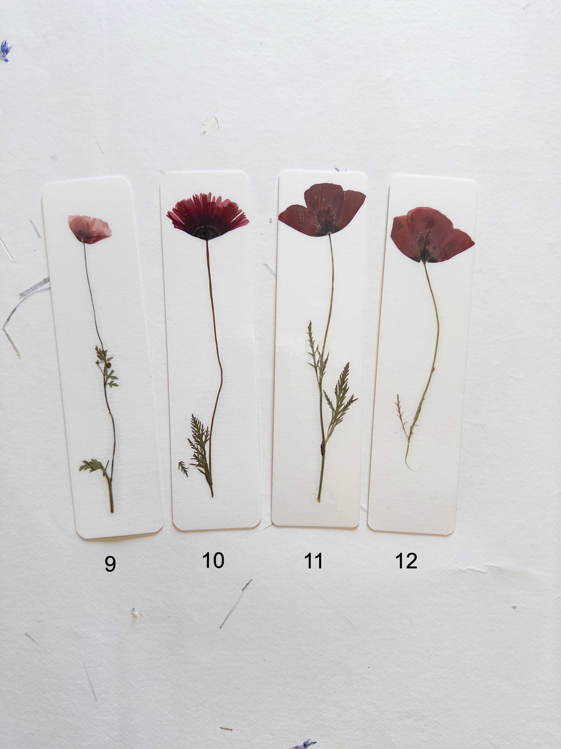 Common poppy bookmark Pressed Flower bookmark corn poppy , dried flower , gift, fleur, fleur séchée, marque page coquelicots
