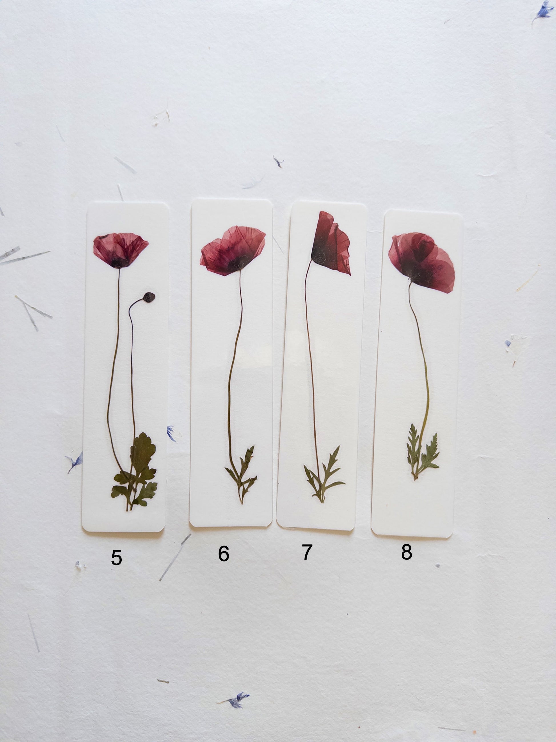Common poppy bookmark Pressed Flower bookmark corn poppy , dried flower , gift, fleur, fleur séchée, marque page coquelicots