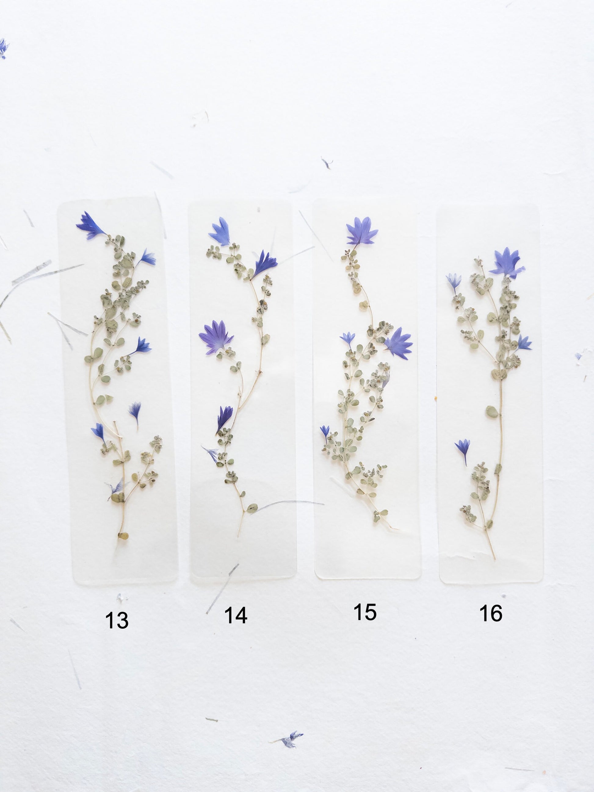 Pressed flower bookmark on handmade cotton paper, cornflower , handmade bookmark, gift, dried flower, fleur séchée , marque page Le Bleuet