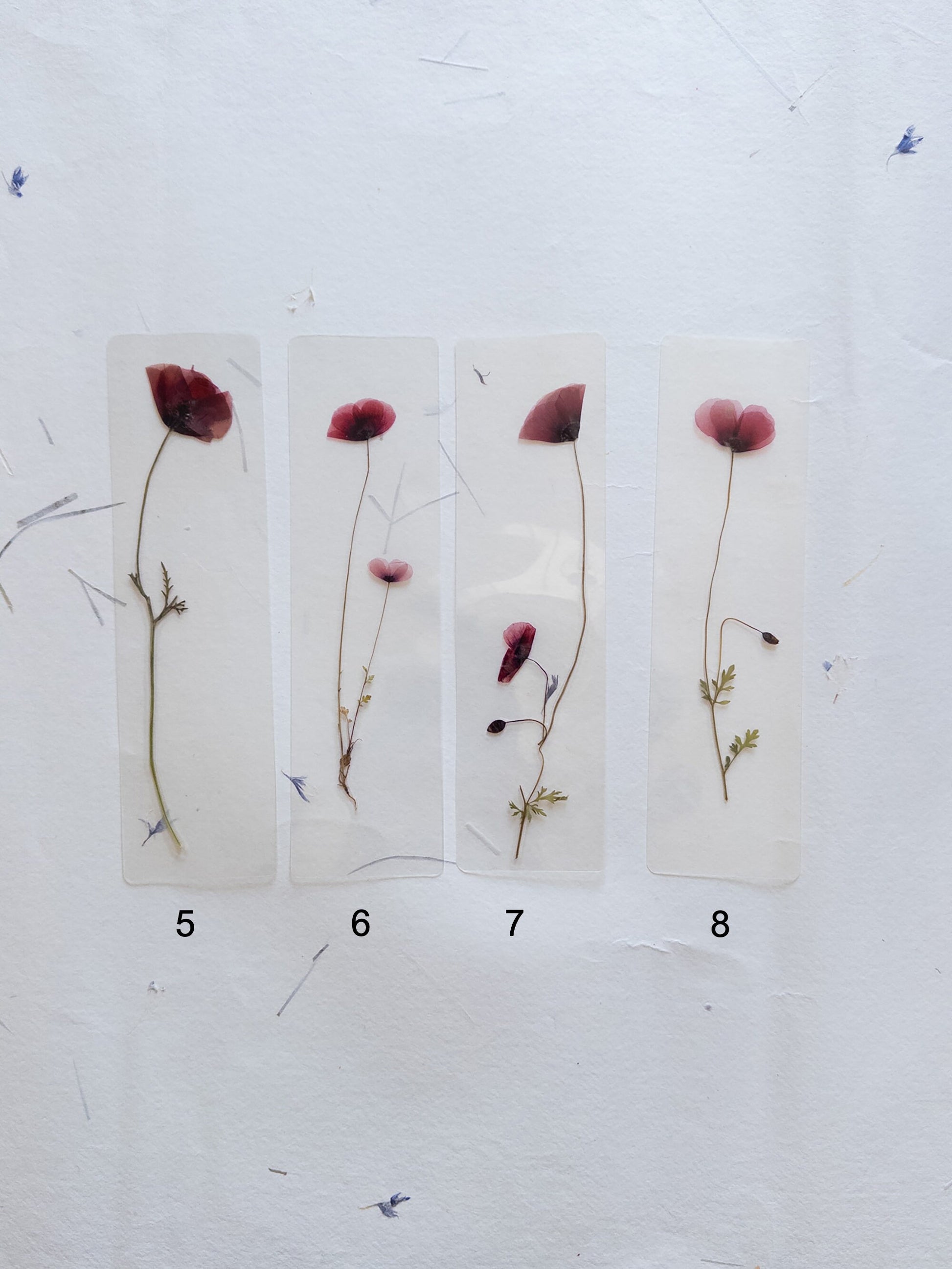 Poppy flower bookmark Pressed Flower bookmark TRANSPARENT , dried flower , gift, , fleur séchée, marque page poppy , marquepage coquelicot