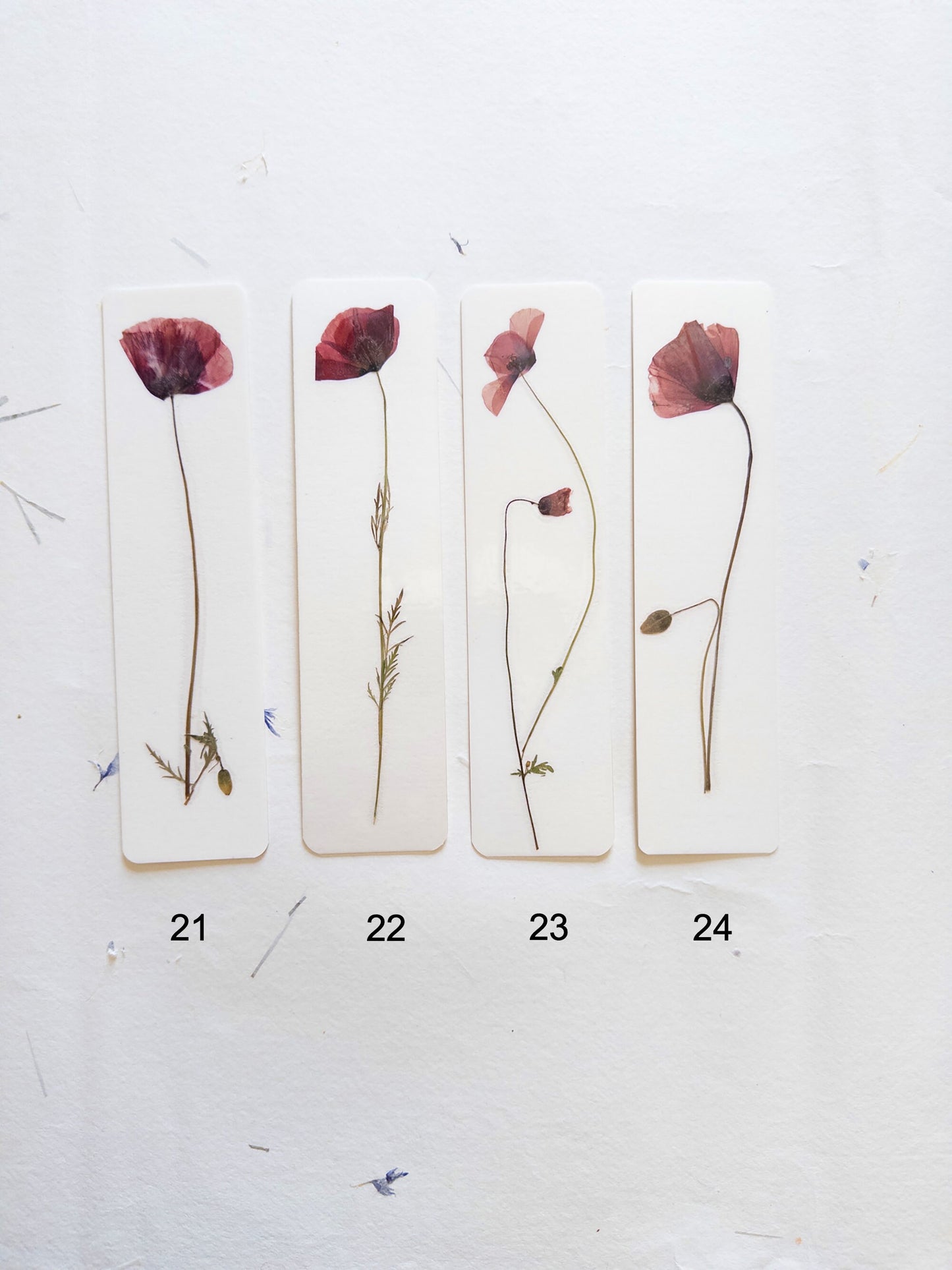 Common poppy bookmark Pressed Flower bookmark corn poppy , dried flower , gift, fleur, fleur séchée, marque page coquelicots