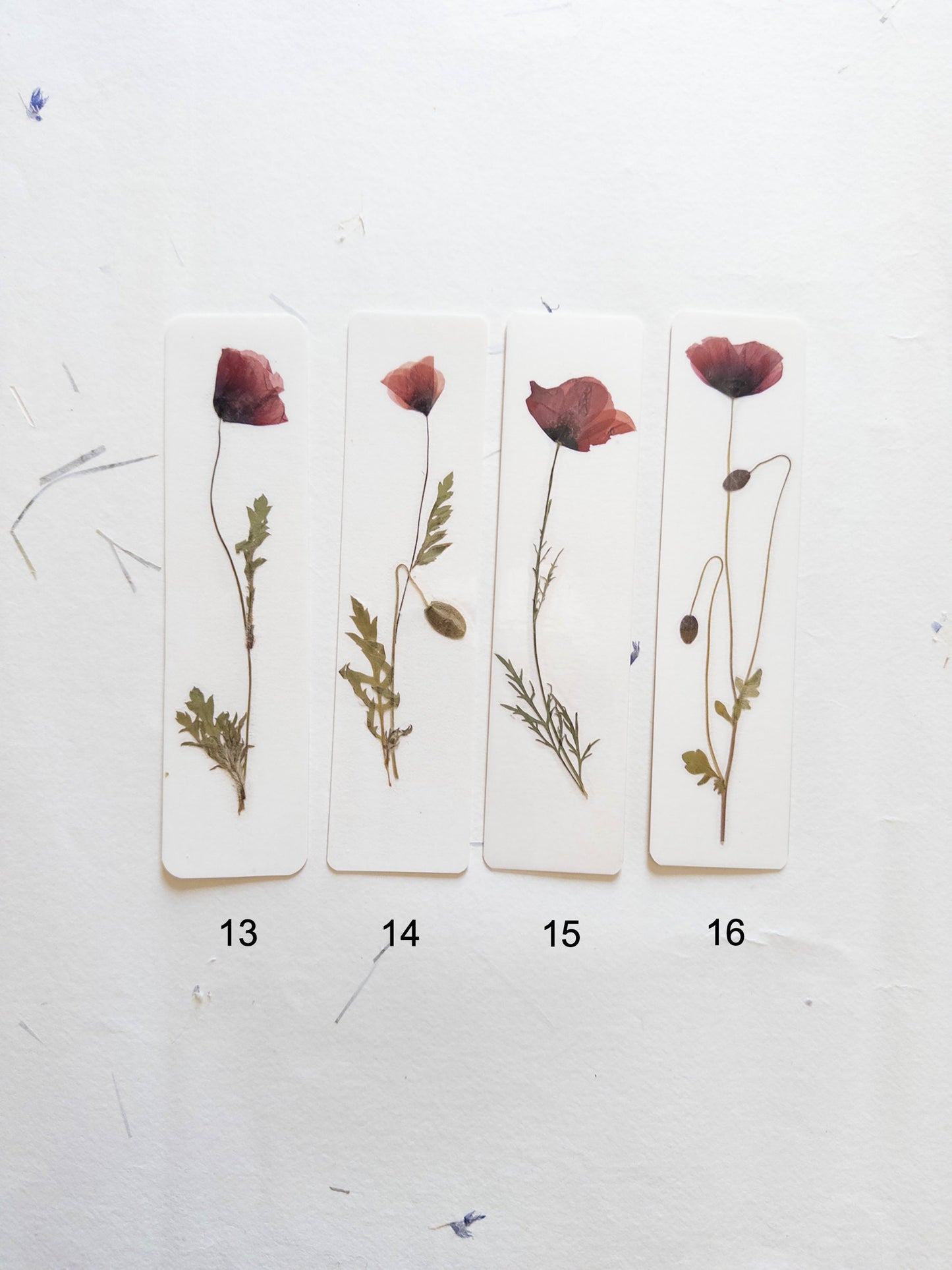 Common poppy bookmark Pressed Flower bookmark corn poppy , dried flower , gift, fleur, fleur séchée, marque page coquelicots