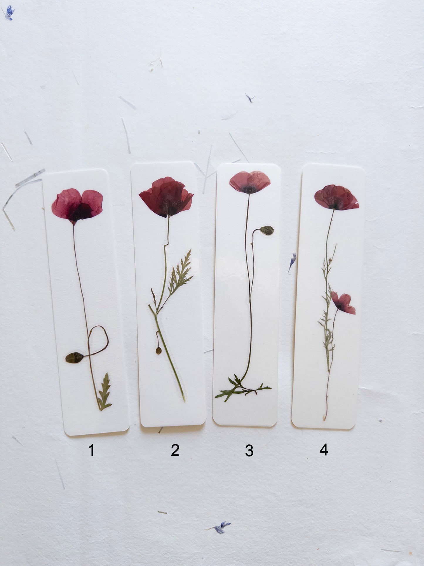 Common poppy bookmark Pressed Flower bookmark corn poppy , dried flower , gift, fleur, fleur séchée, marque page coquelicots