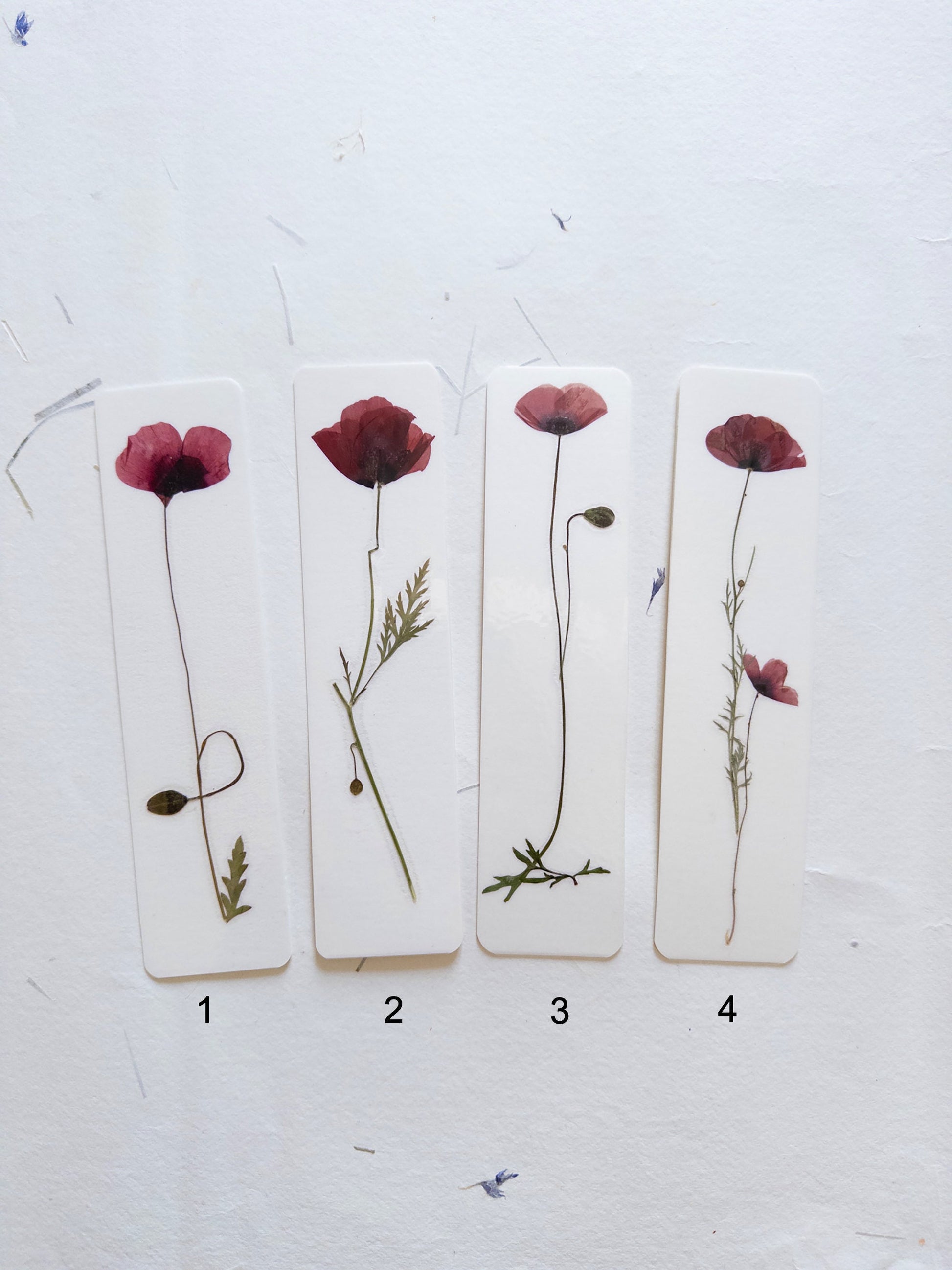 Common poppy bookmark Pressed Flower bookmark corn poppy , dried flower , gift, fleur, fleur séchée, marque page coquelicots