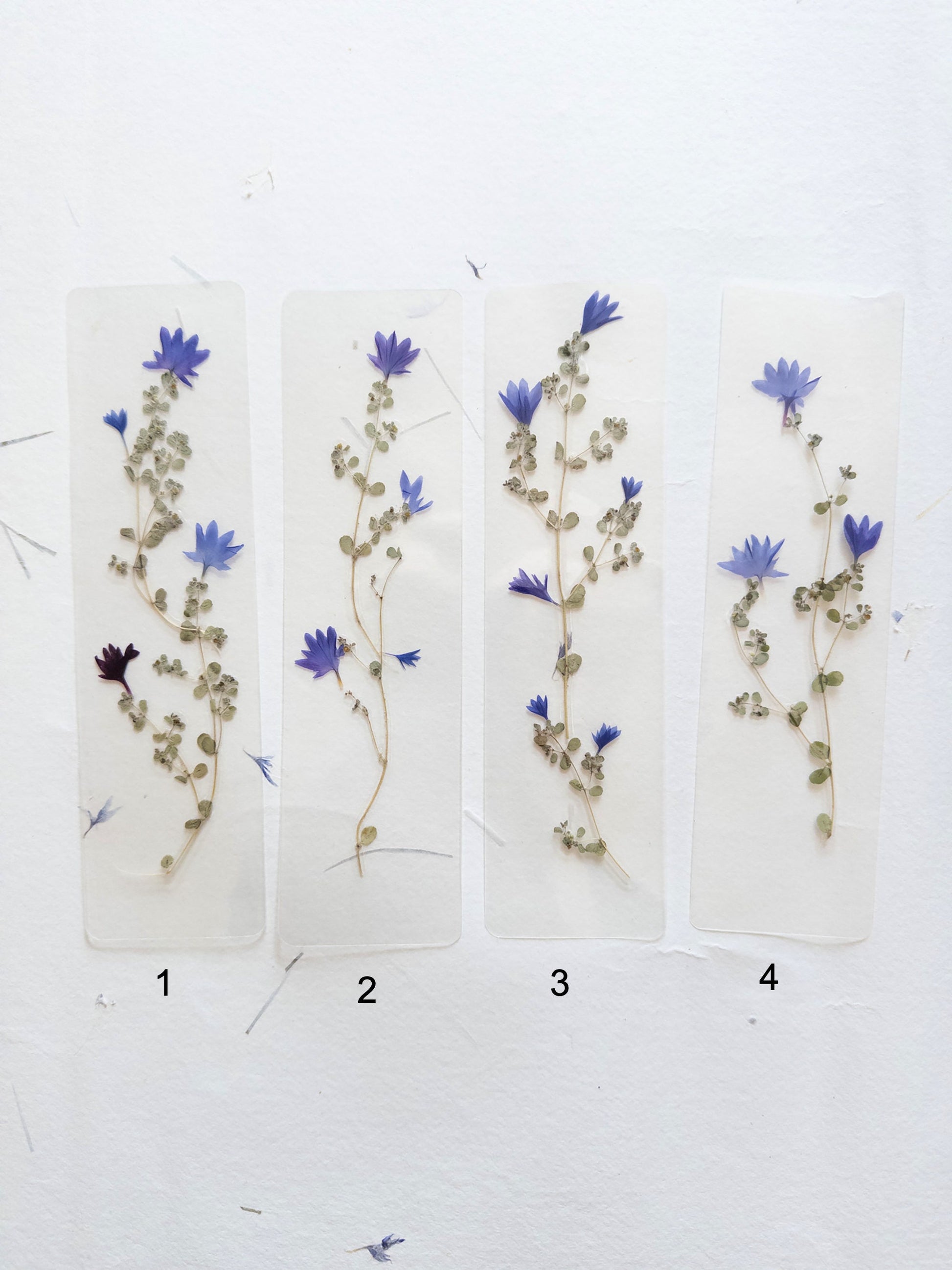 Pressed flower bookmark on handmade cotton paper, cornflower , handmade bookmark, gift, dried flower, fleur séchée , marque page Le Bleuet