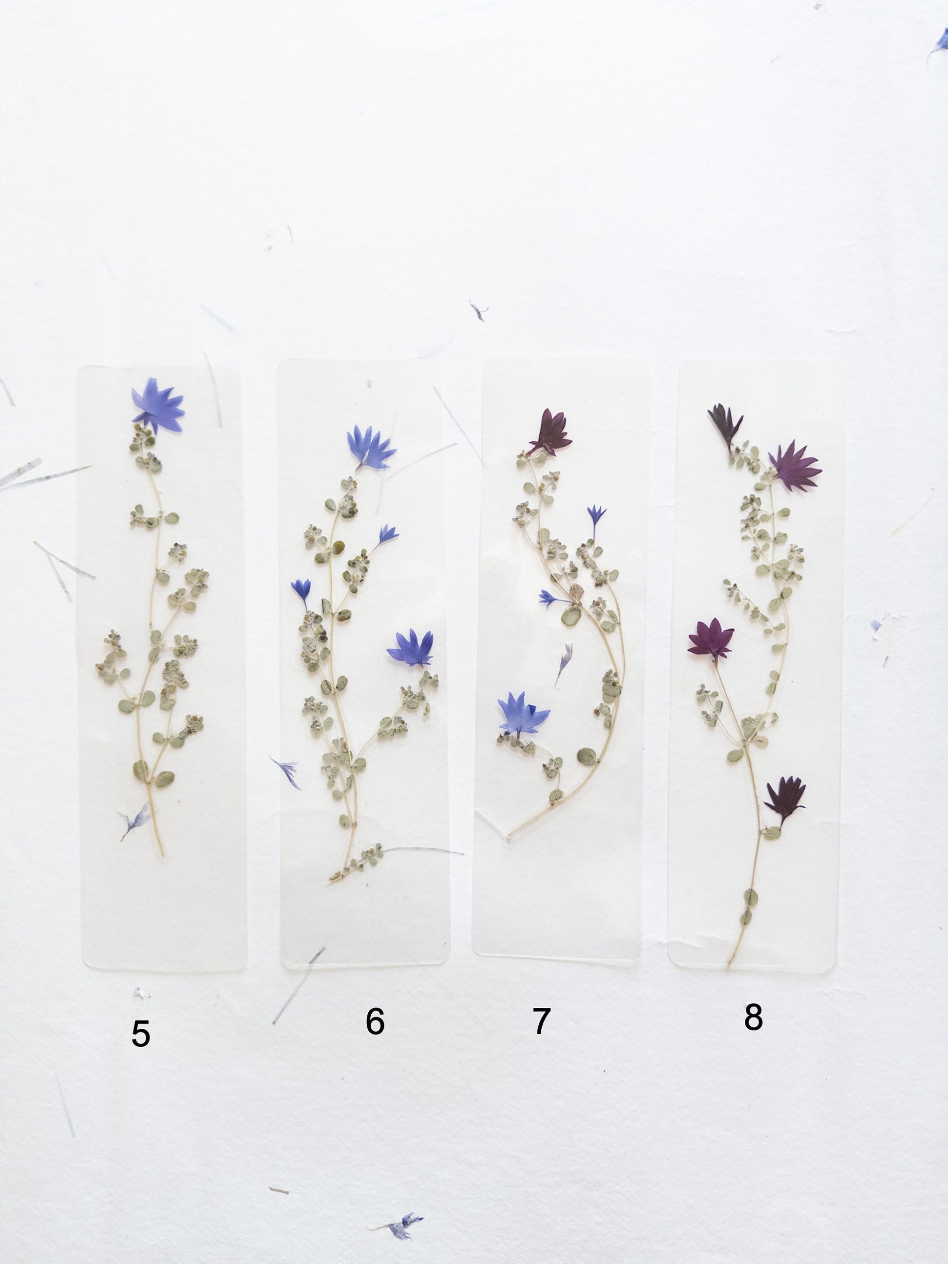 Pressed flower bookmark on handmade cotton paper, cornflower , handmade bookmark, gift, dried flower, fleur séchée , marque page Le Bleuet