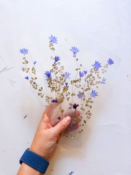 Pressed flower bookmark on handmade cotton paper, cornflower , handmade bookmark, gift, dried flower, fleur séchée , marque page Le Bleuet