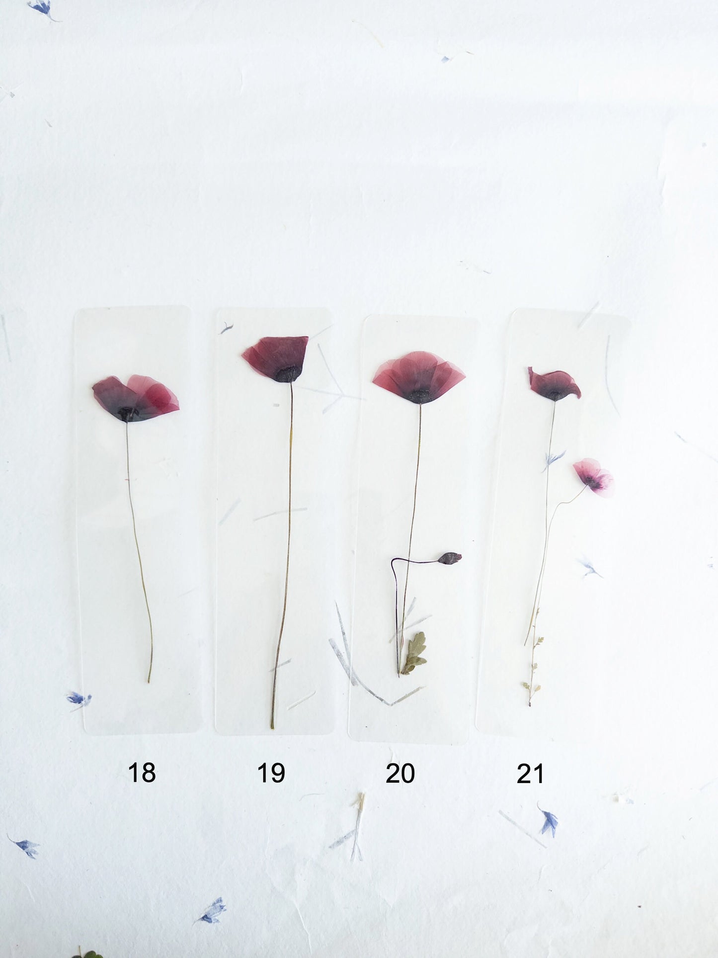 Poppy flower bookmark Pressed Flower bookmark TRANSPARENT , dried flower , gift, , fleur séchée, marque page poppy , marquepage coquelicot