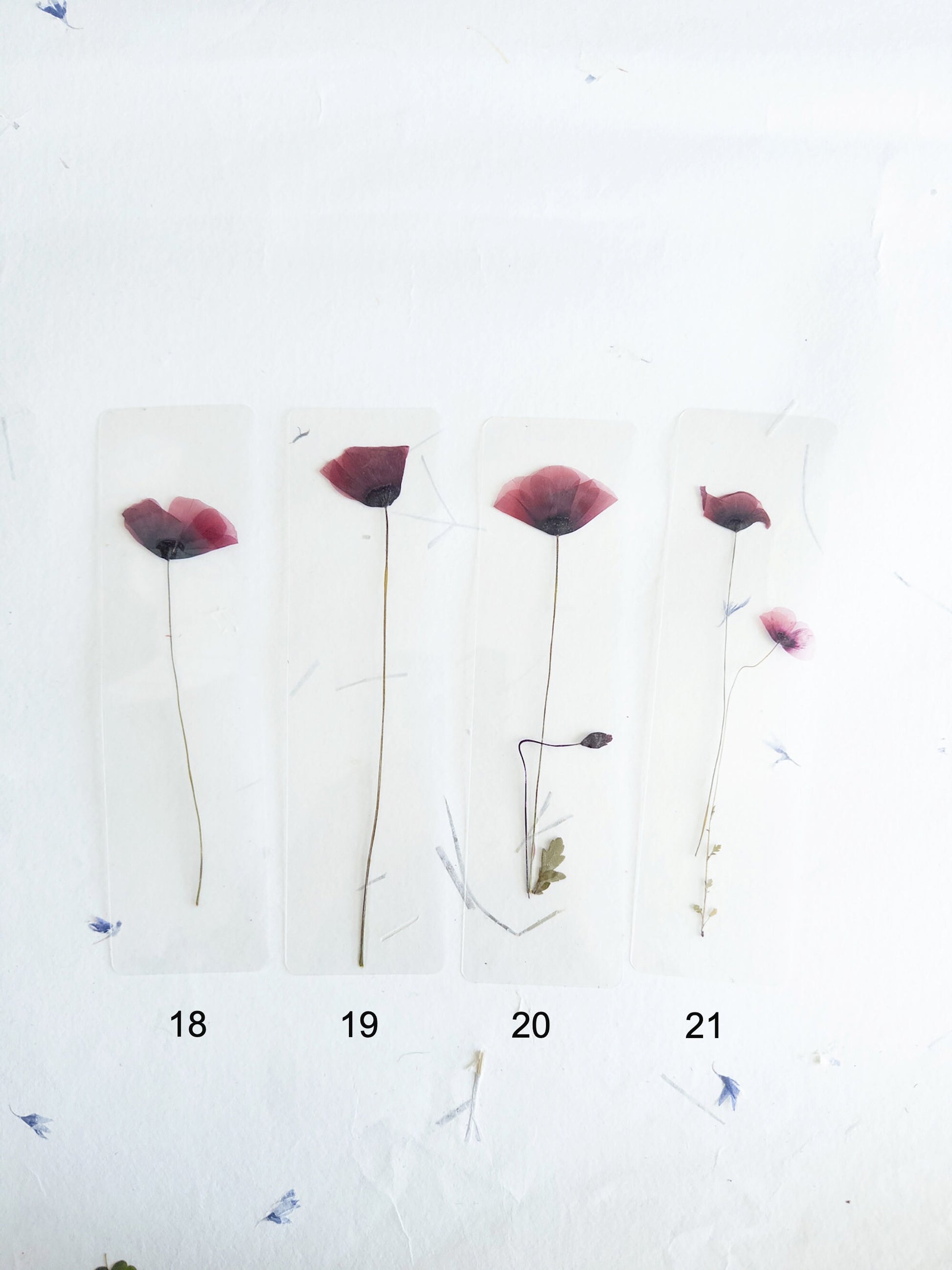 Poppy flower bookmark Pressed Flower bookmark TRANSPARENT , dried flower , gift, , fleur séchée, marque page poppy , marquepage coquelicot