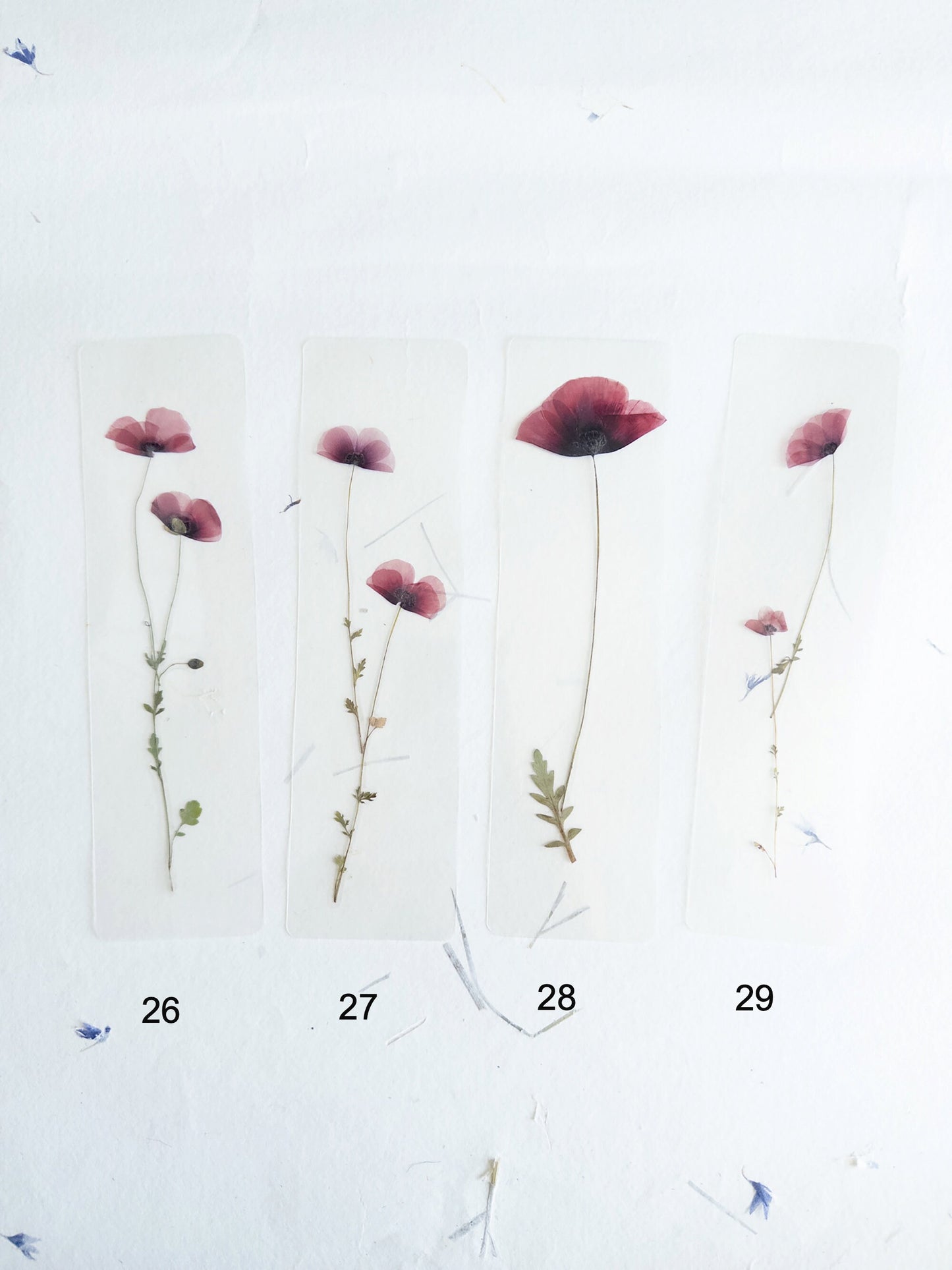 Poppy flower bookmark Pressed Flower bookmark TRANSPARENT , dried flower , gift, , fleur séchée, marque page poppy , marquepage coquelicot